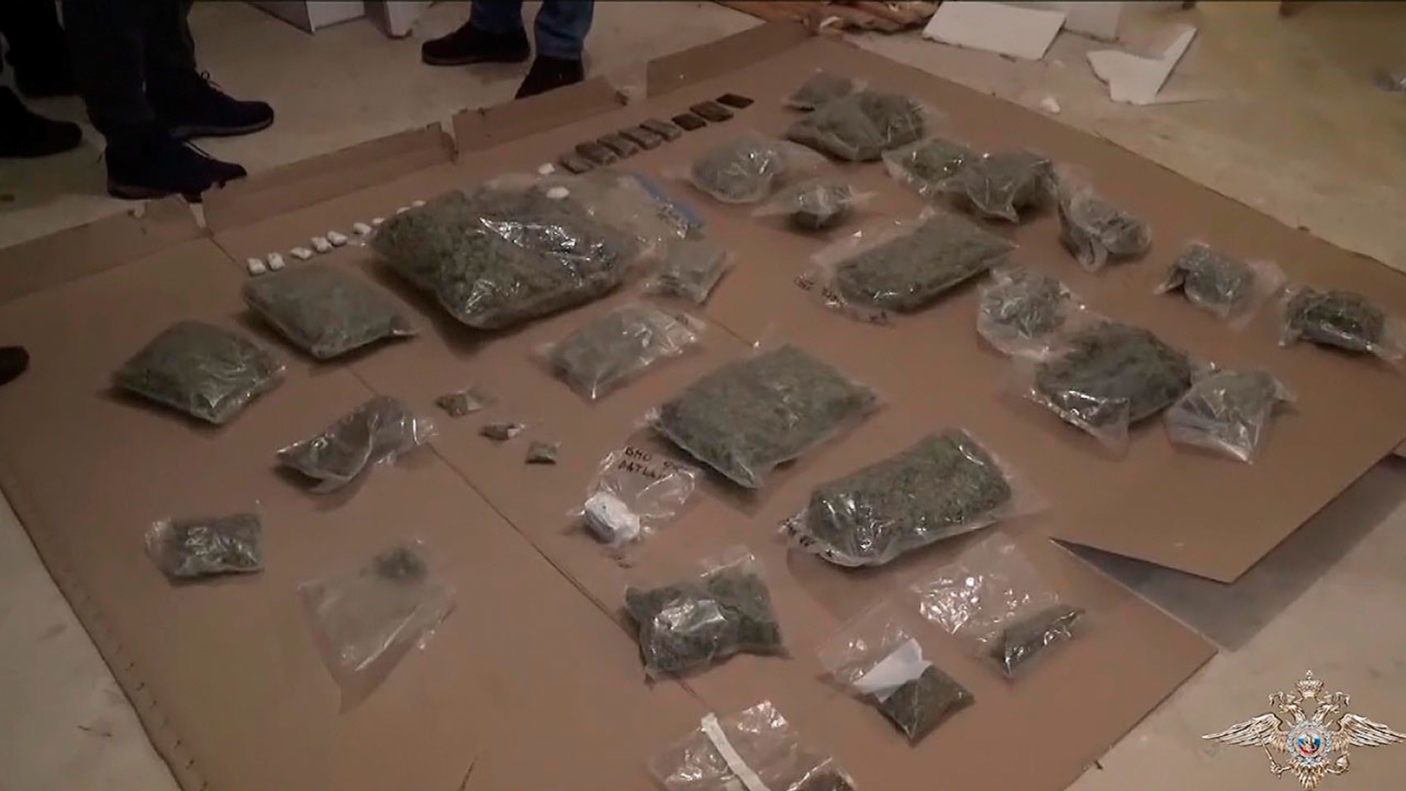 Два холодильника с марихуаной: дело подмосковных наркоторговцев передано в суд