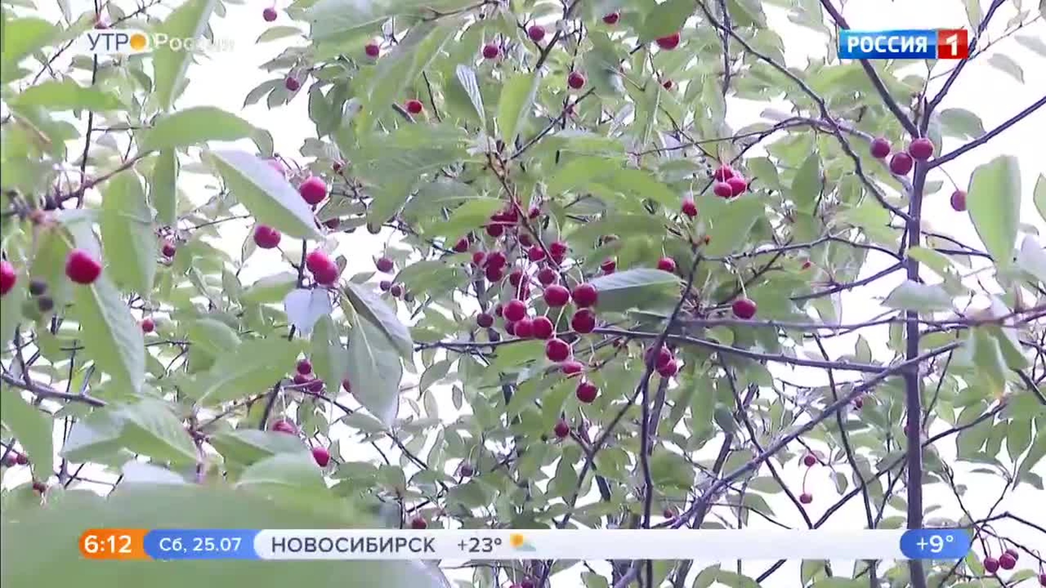 Эфир от 25.07.2020