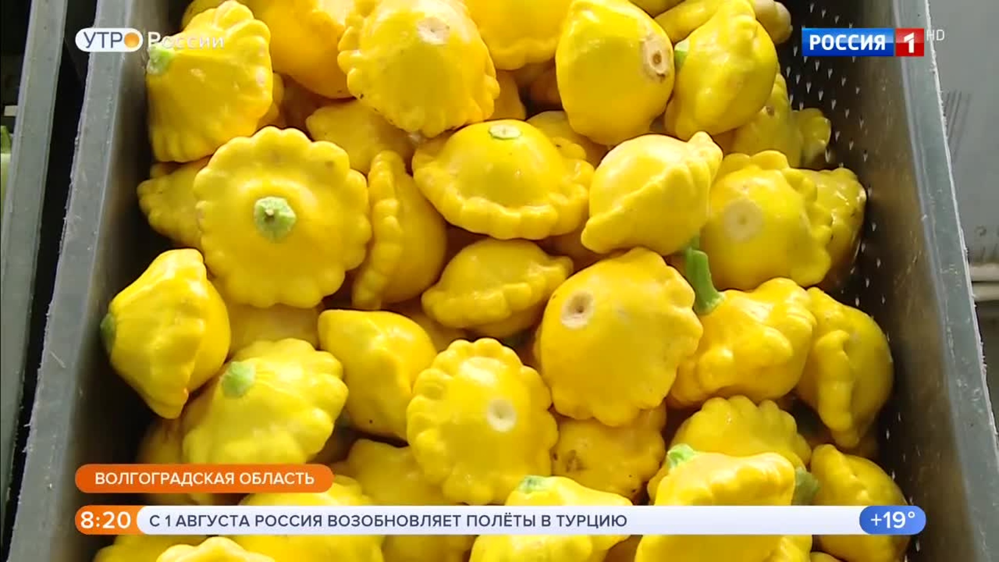 Эфир от 29.07.2020