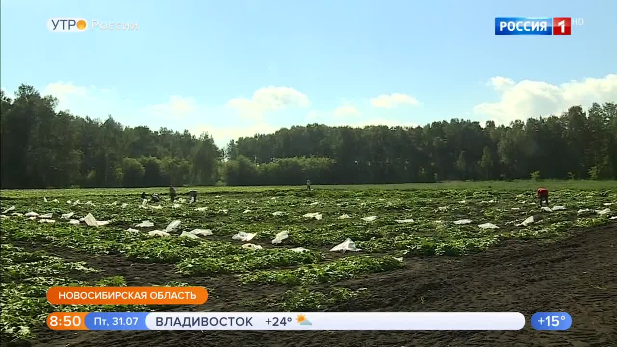 Эфир от 31.07.2020