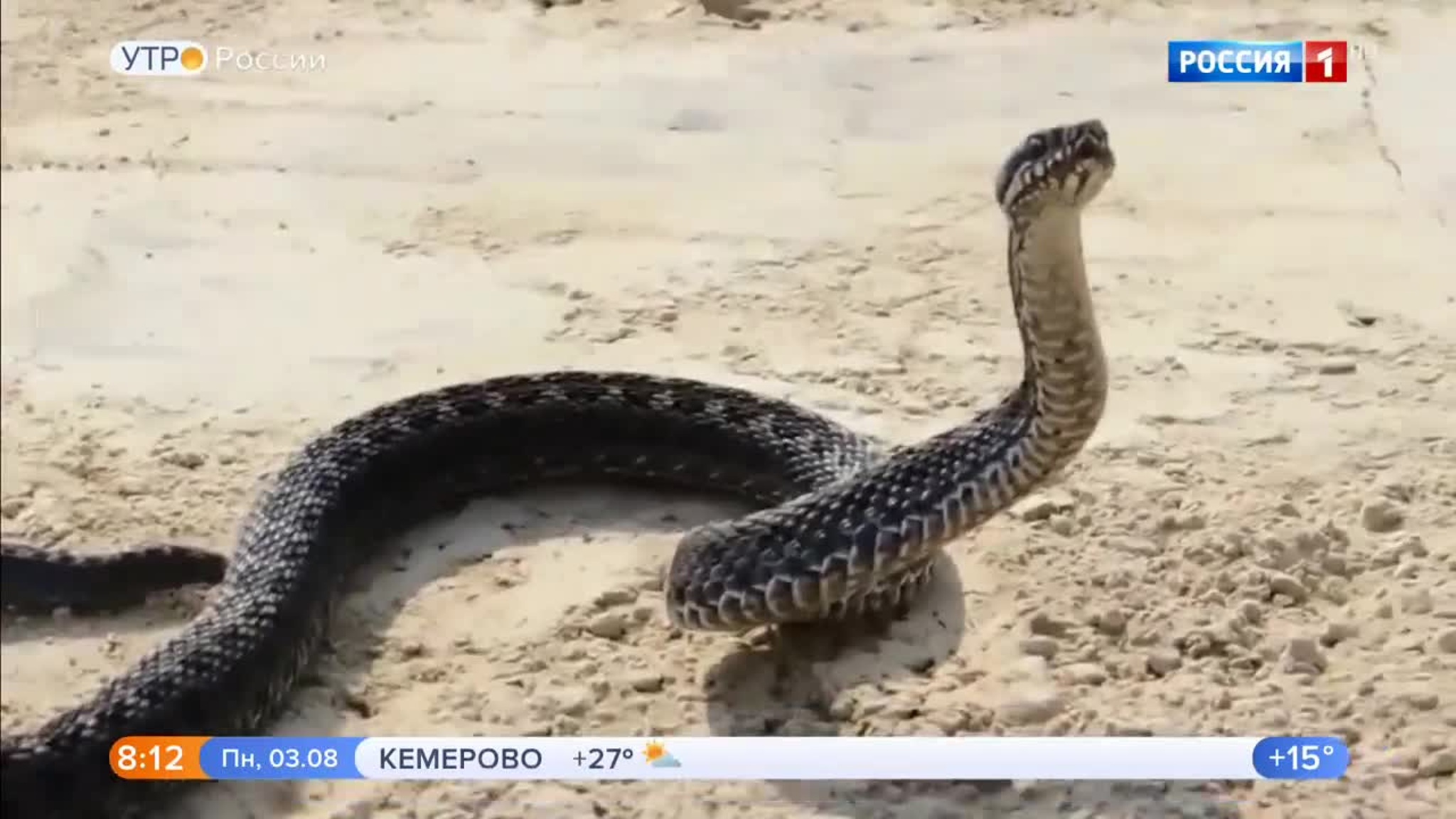 Эфир от 03.08.2020