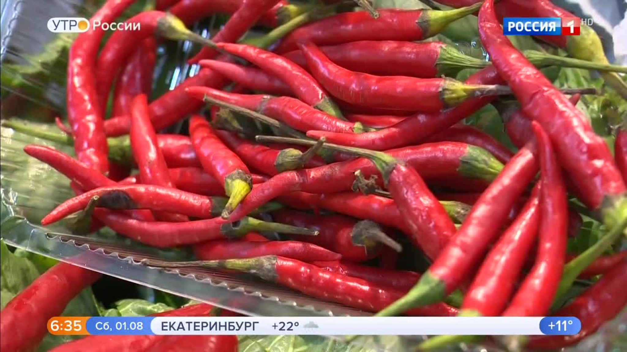 Эфир от 01.08.2020
