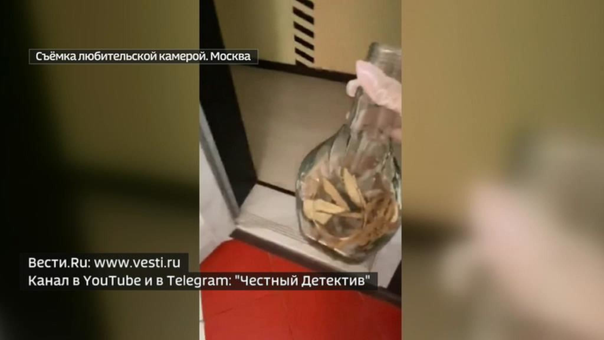 Мертвые рептилии против коронавируса: проверка аптеки закончилась бегством фармацевта