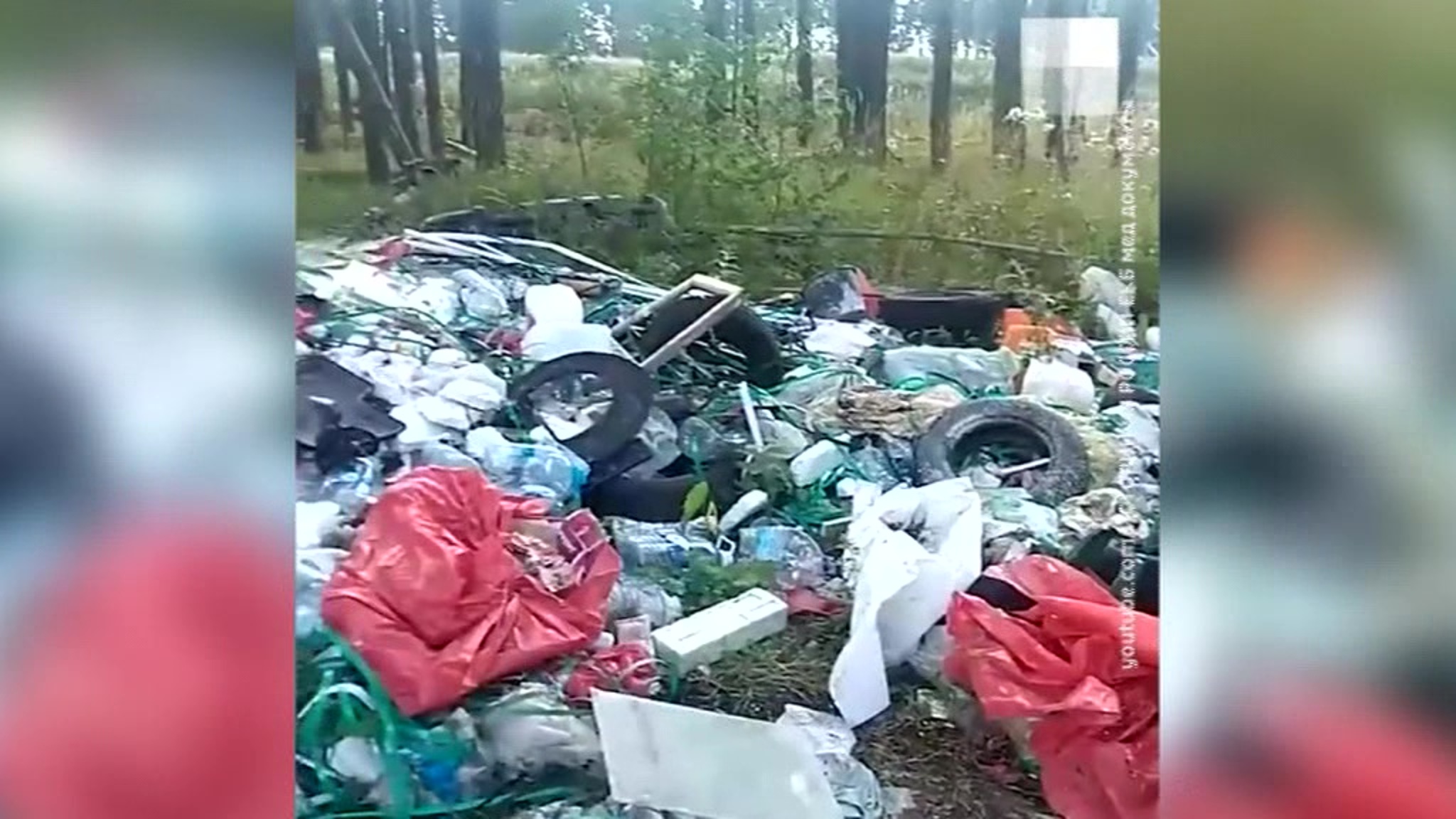 В Екатеринбурге медицинские документы с личными данными нашли на свалке: прокуратура начала проверку