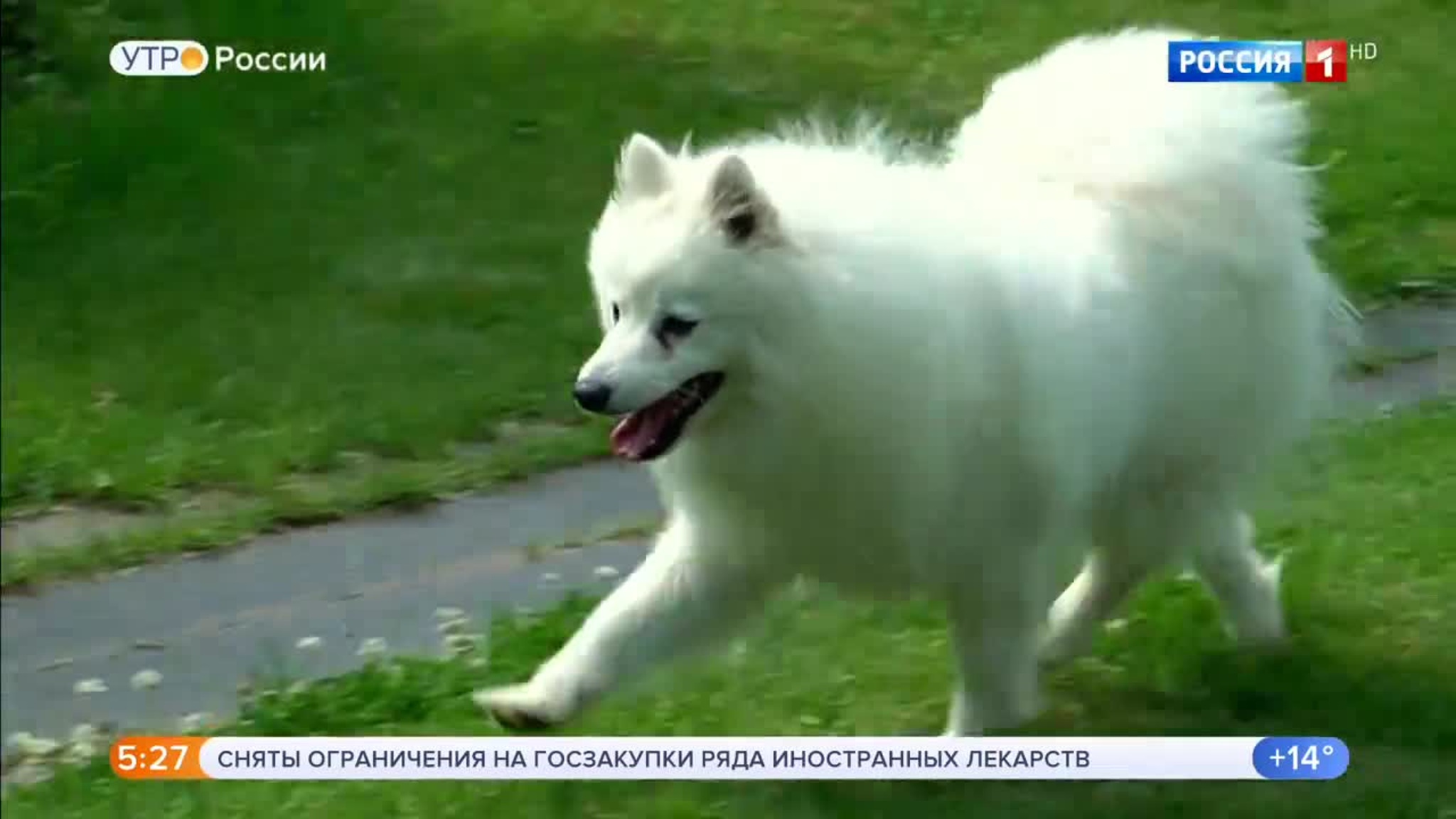 Эфир от 08.08.2020