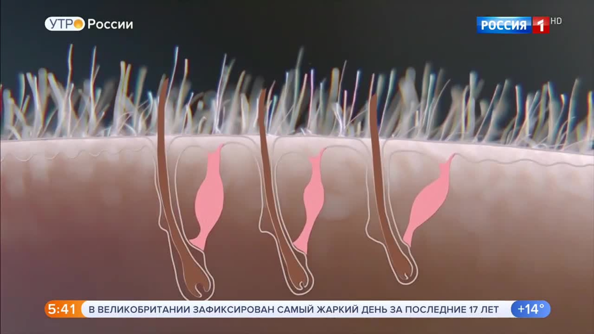 Эфир от 08.08.2020