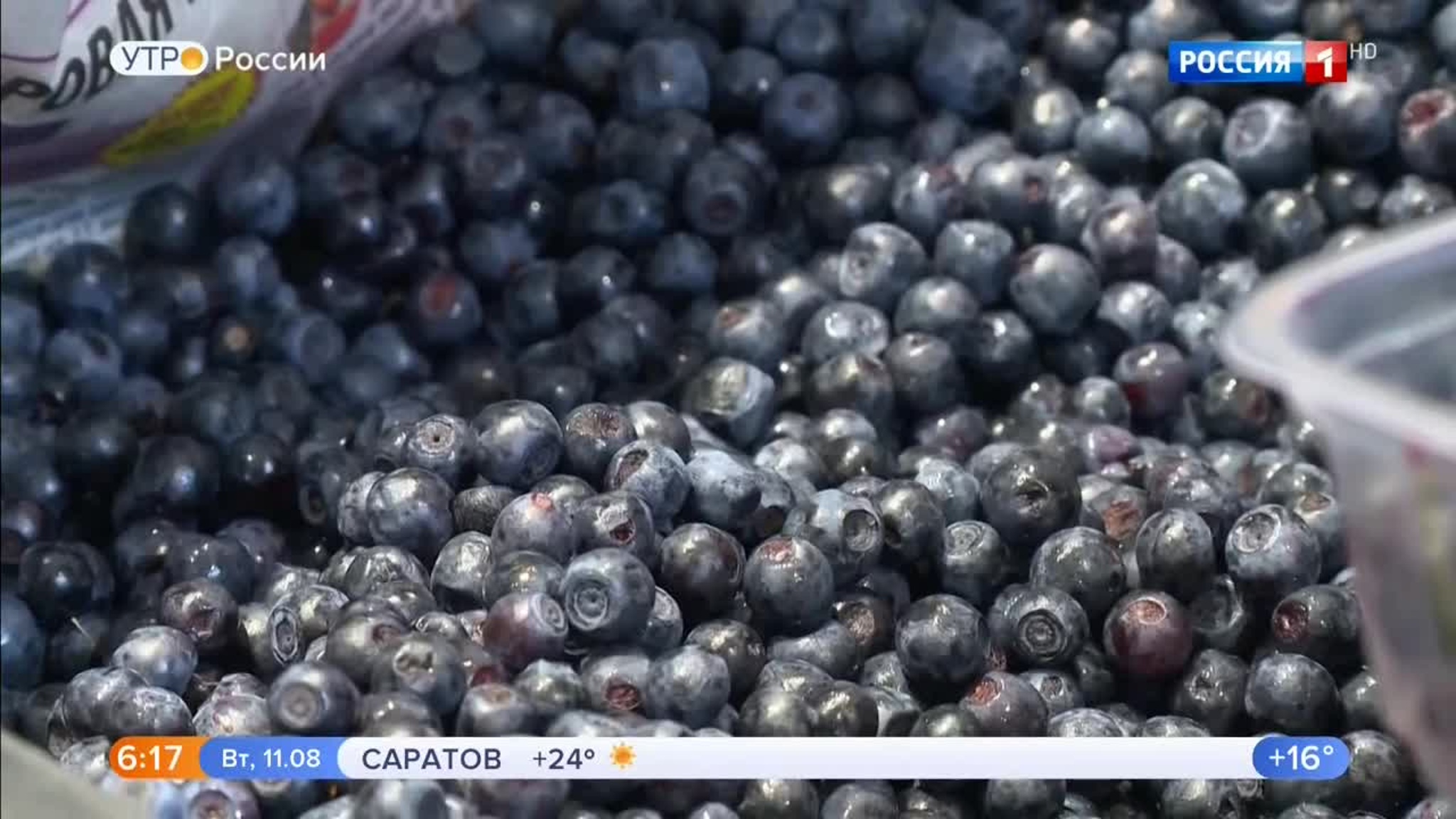 Эфир от 11.08.2020 (05:00)