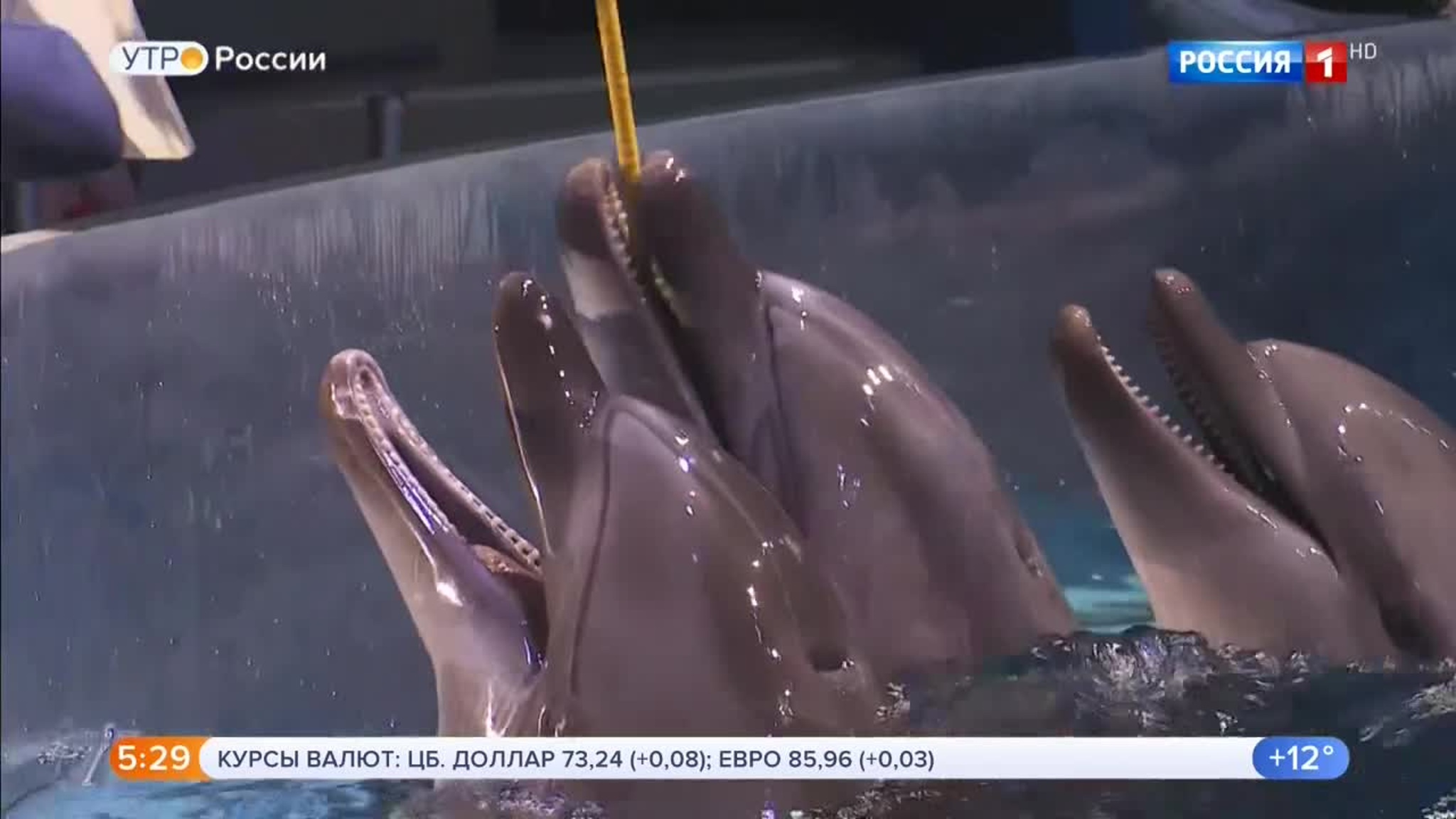 Эфир от 13.08.2020 (05:00)