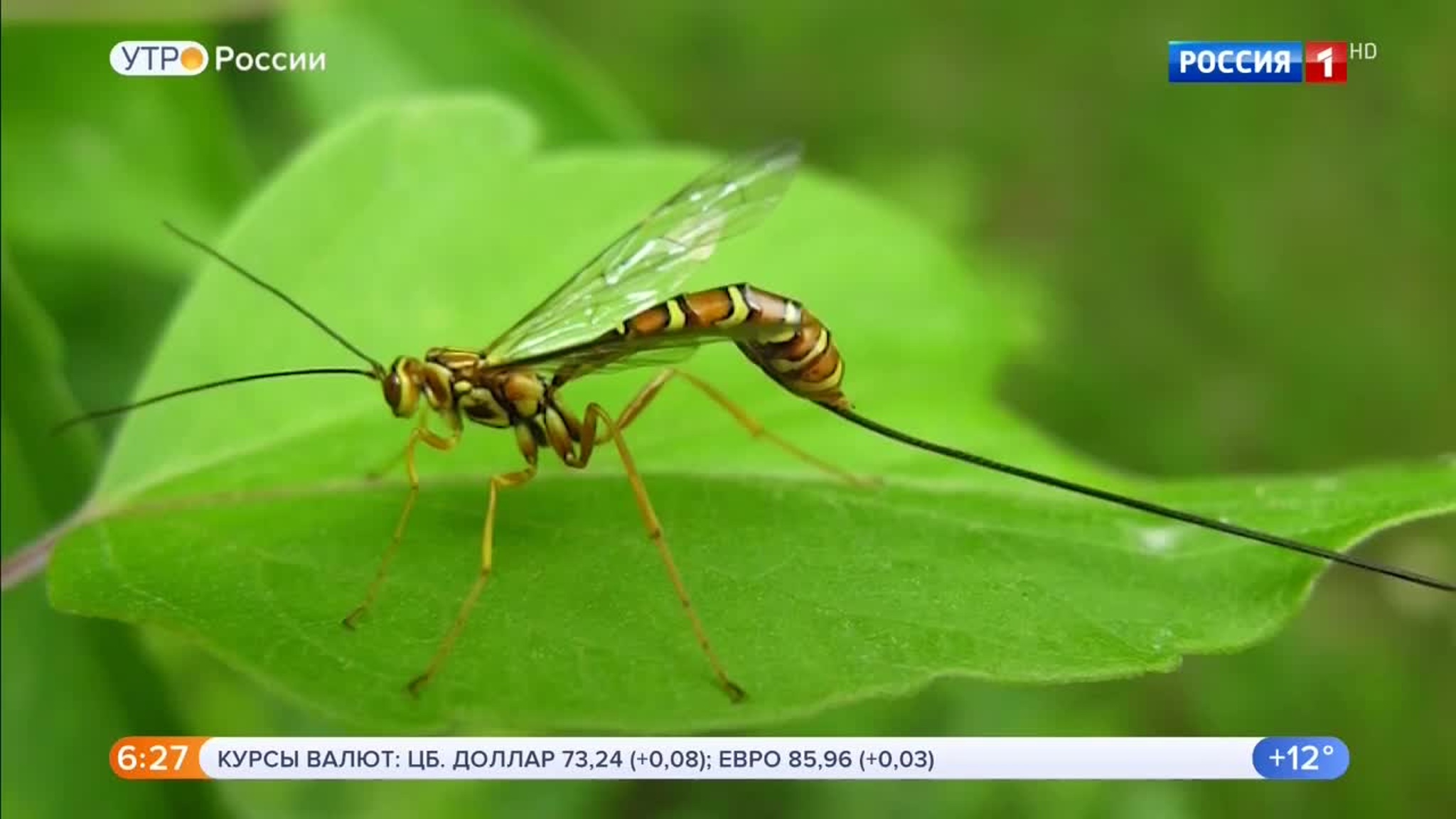 Эфир от 13.08.2020 (05:00)