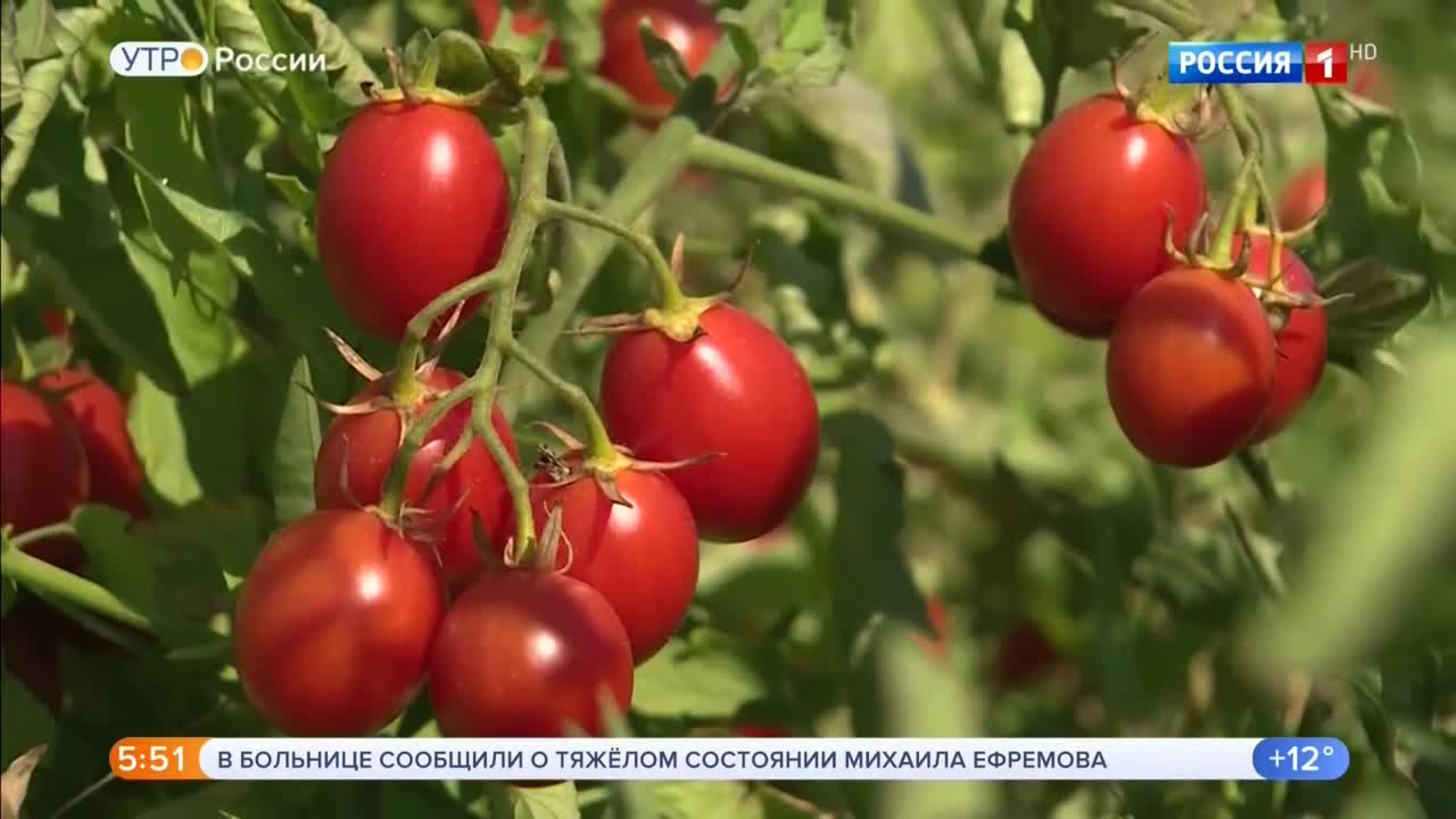Эфир от 12.08.2020 (05:00)