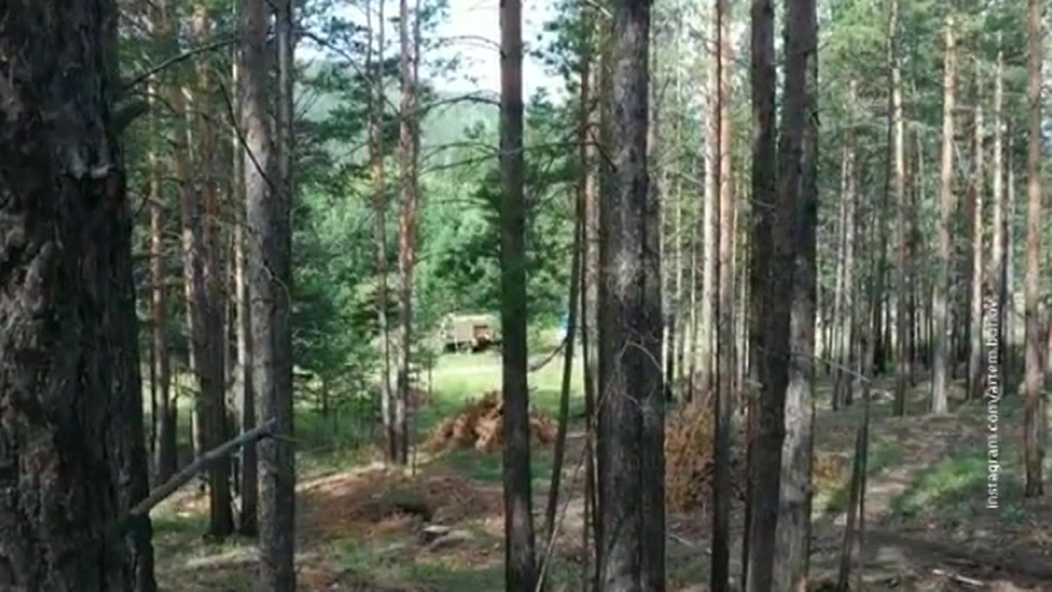 Бурятский грибник набрел на стоянку черных лесорубов