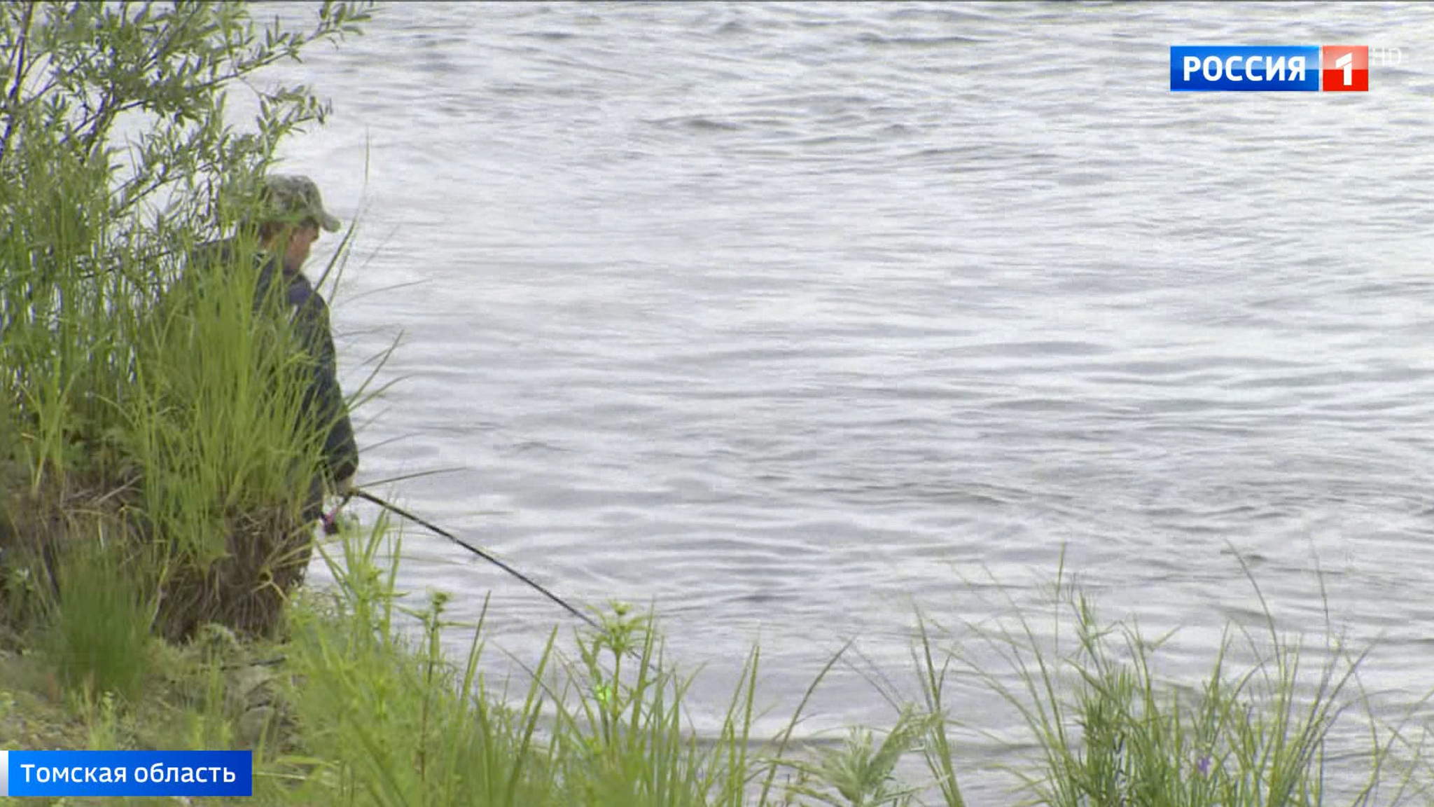 Под Томском нашли заблудившегося рыбака, который 10 дней выживал в тайге