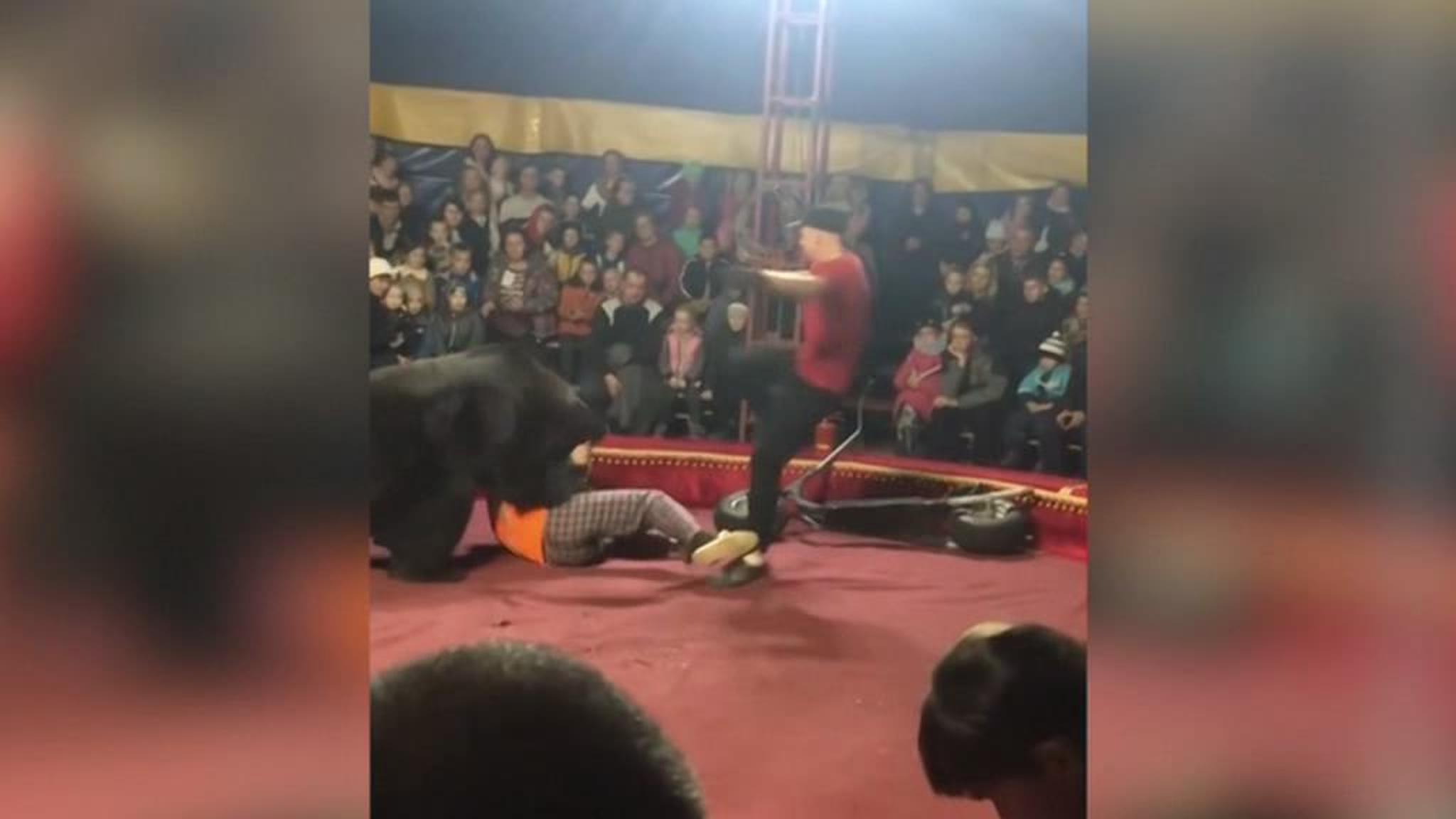 Опасное шапито: в Пензе во время гастролей цирка нашли массу нарушений