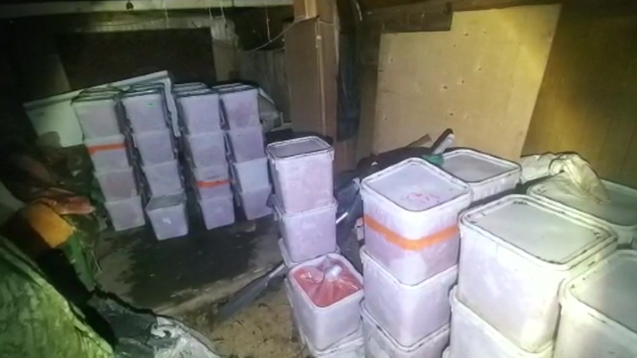 На Камчатке изъяли более полутора тонн контрабандной красной икры