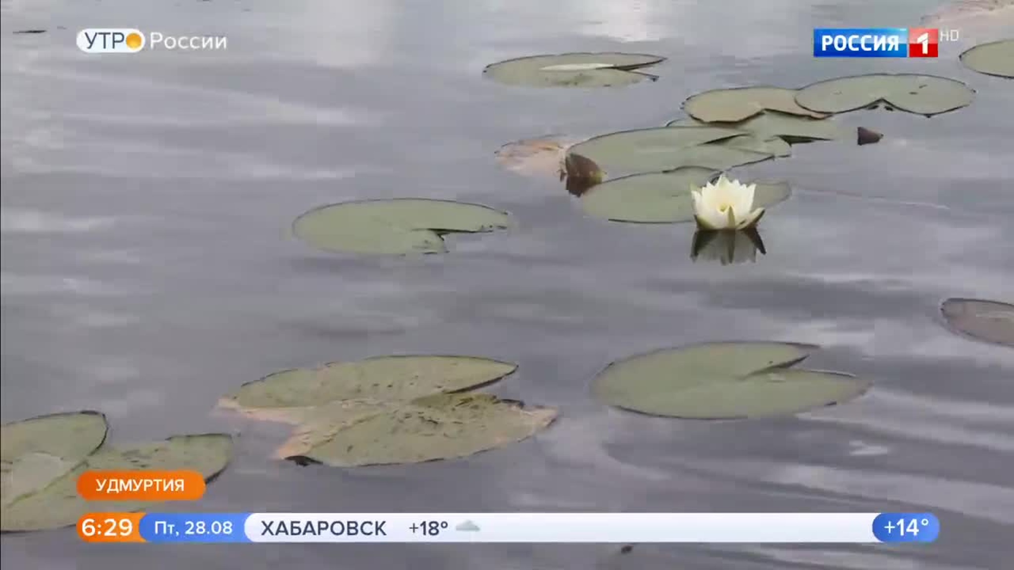 Эфир от 28.08.2020 (05:00)