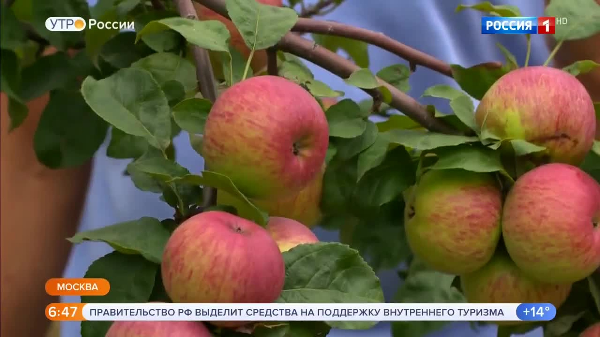 Эфир от 28.08.2020 (05:00)