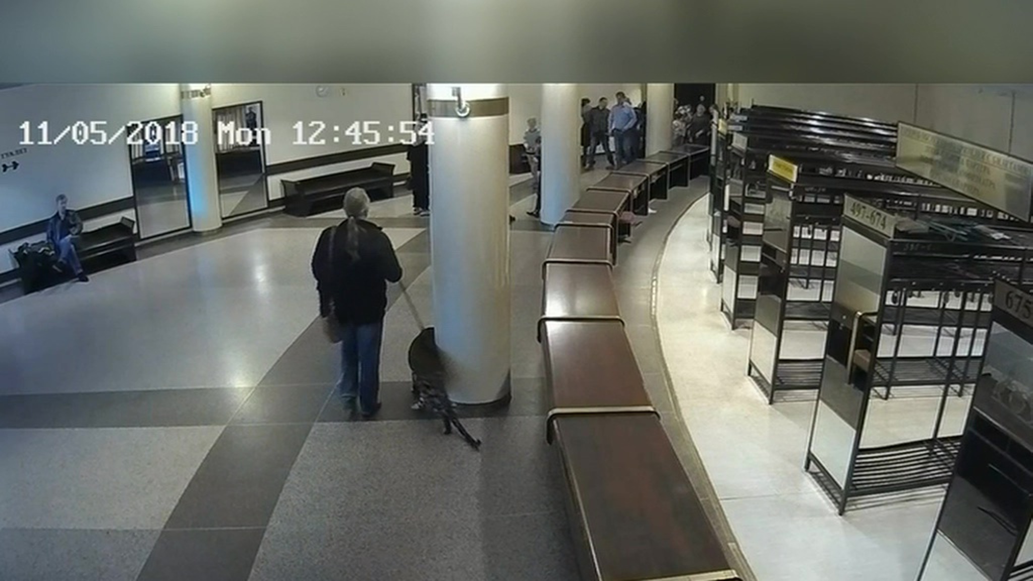 Состоялось новое заседание по делу о нападении леопарда на девочку в столичном цирке