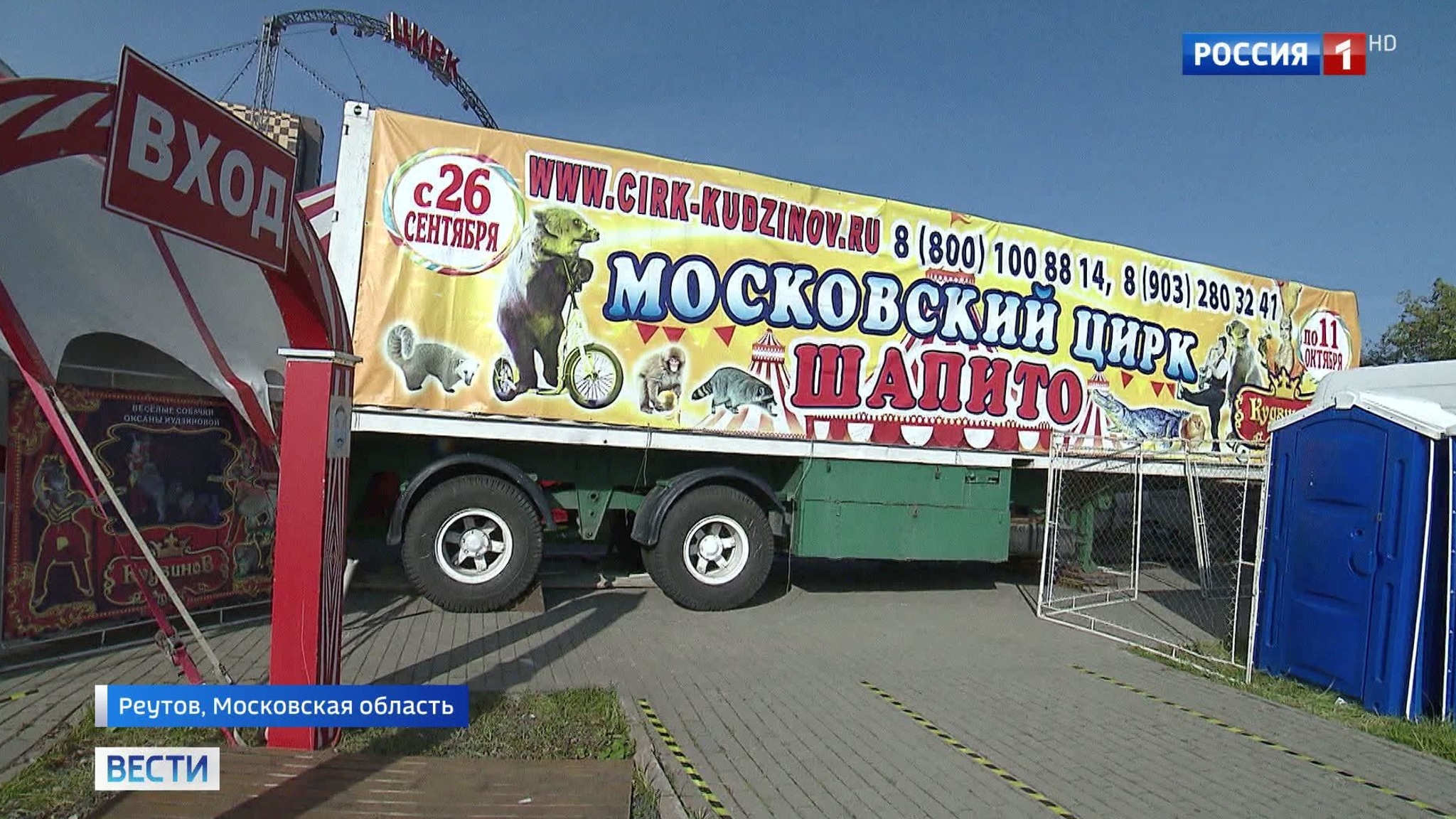 Цирк в Реутове, где медведь напал на ребенка, проверяет прокуратура