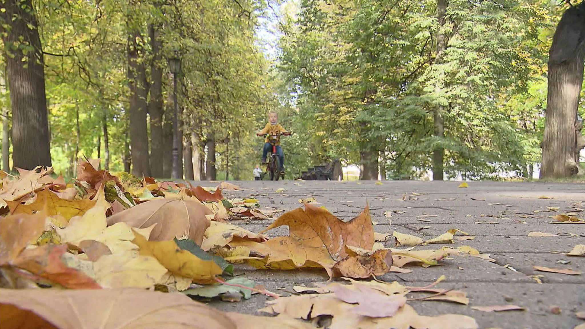 Как в июльском Сочи: Москву ждет неделя жары