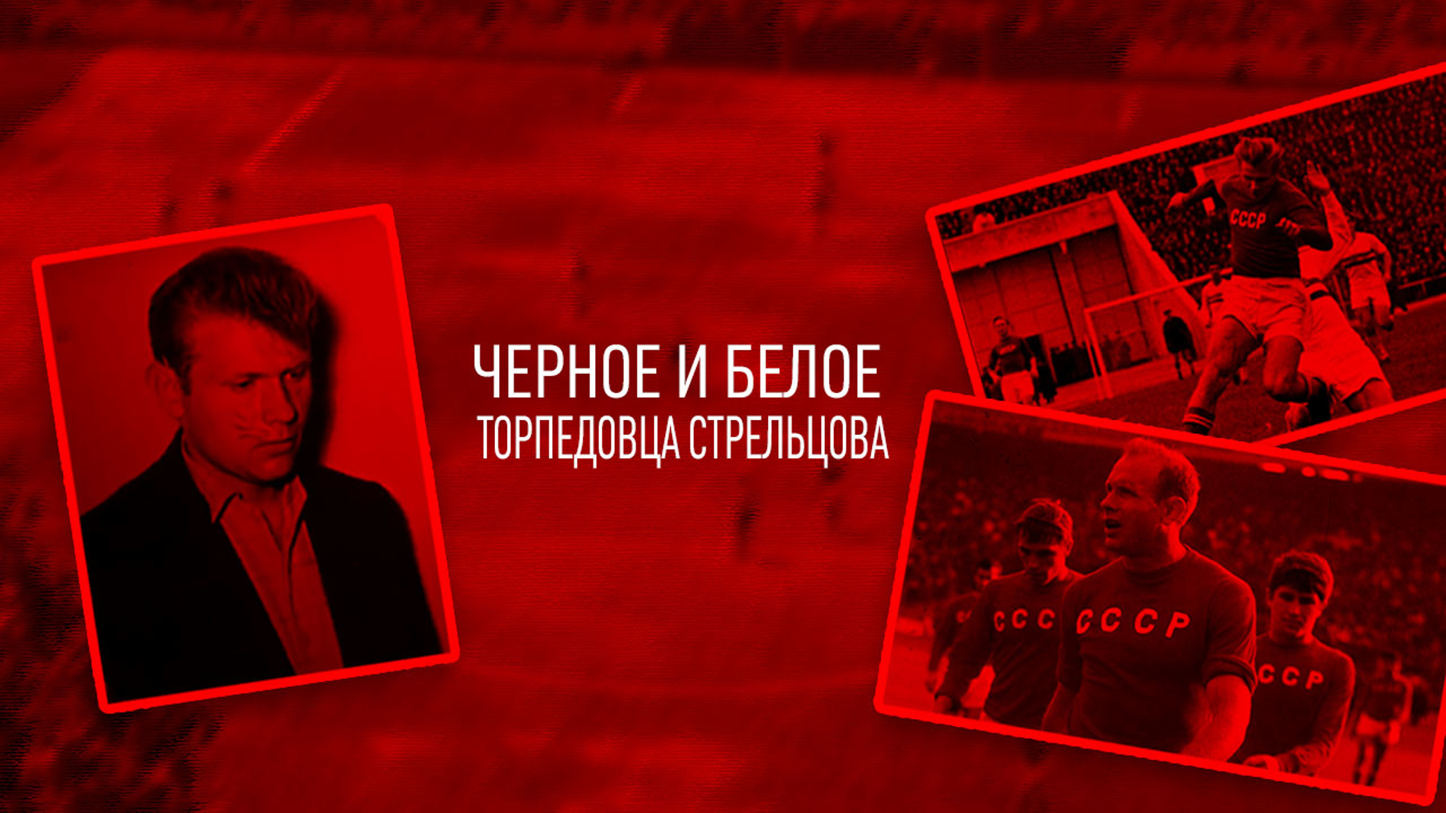 Черное и белое торпедовца Стрельцова