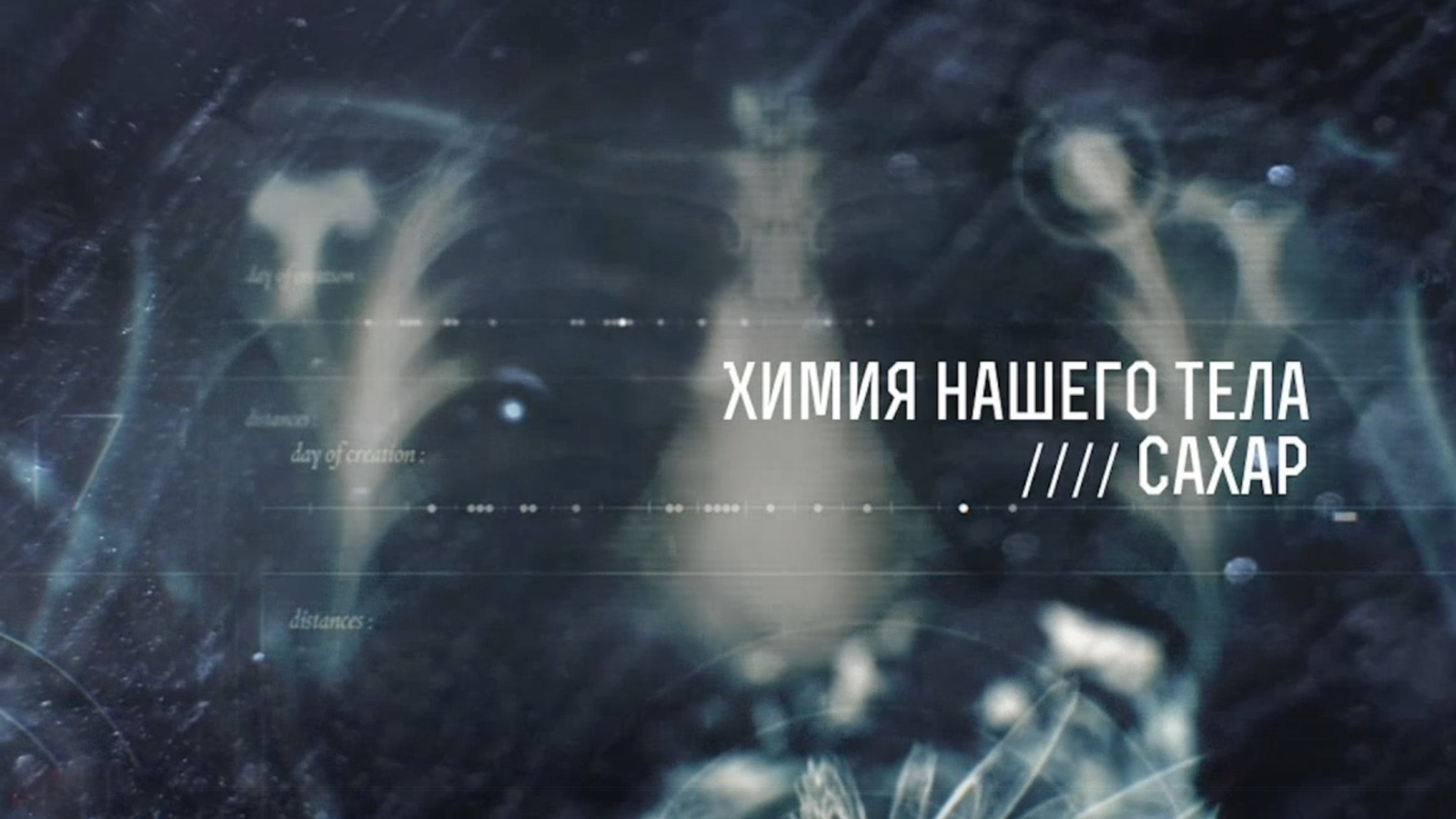 Химия нашего тела. Сахар
