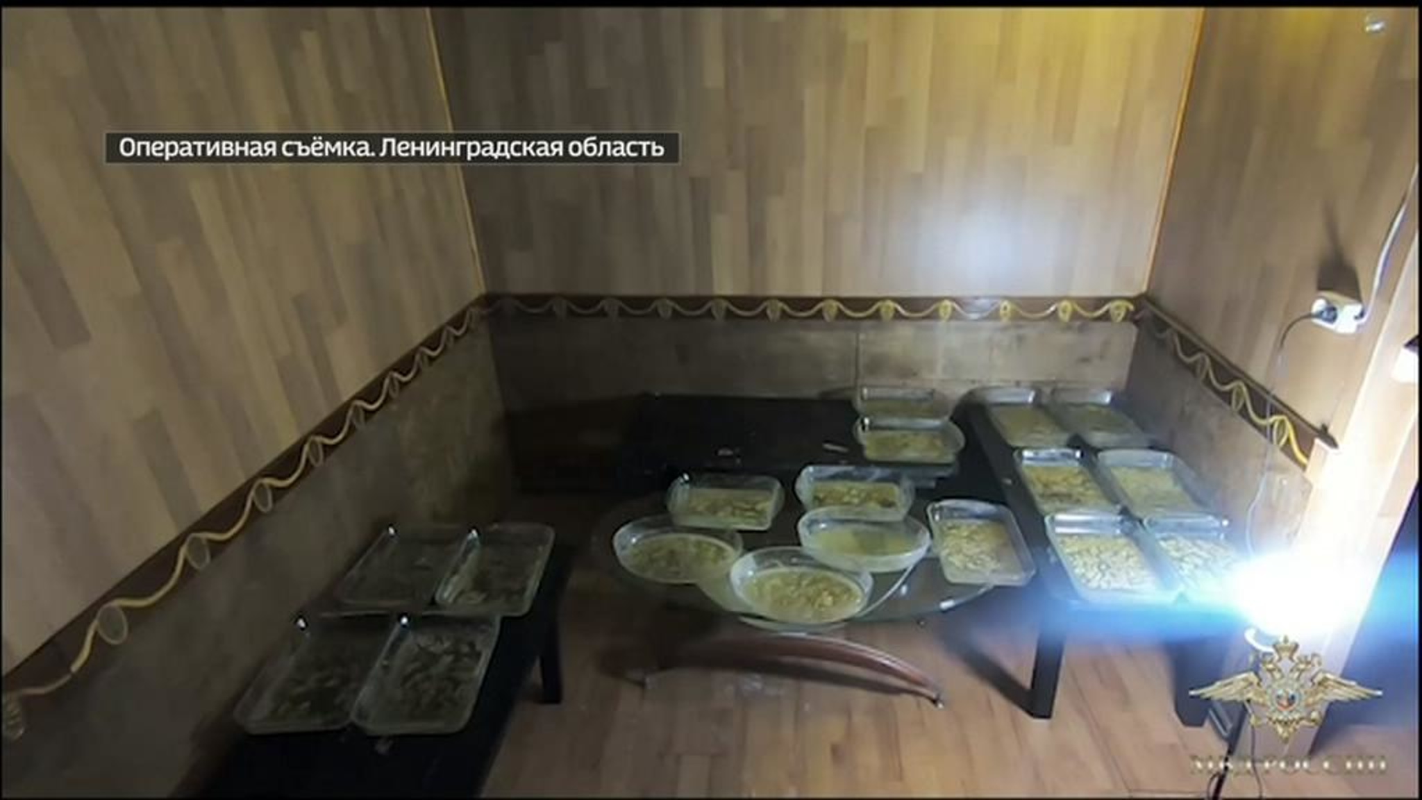 Торговцев БАДами, обманывавших пенсионеров, поймали в роскошном особняке