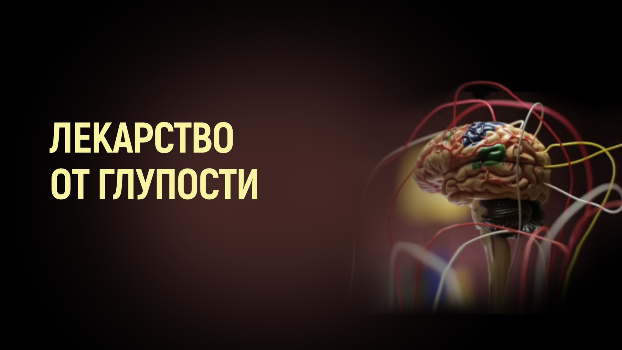 Лекарство от глупости