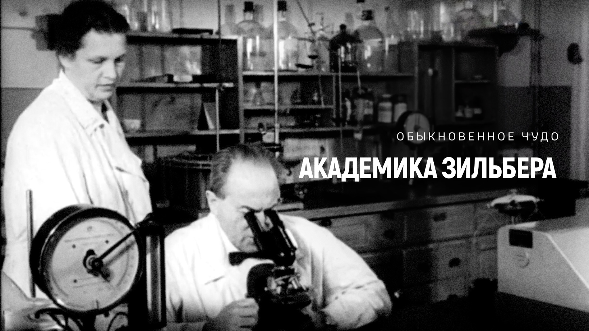 Обыкновенное чудо академика Зильбера