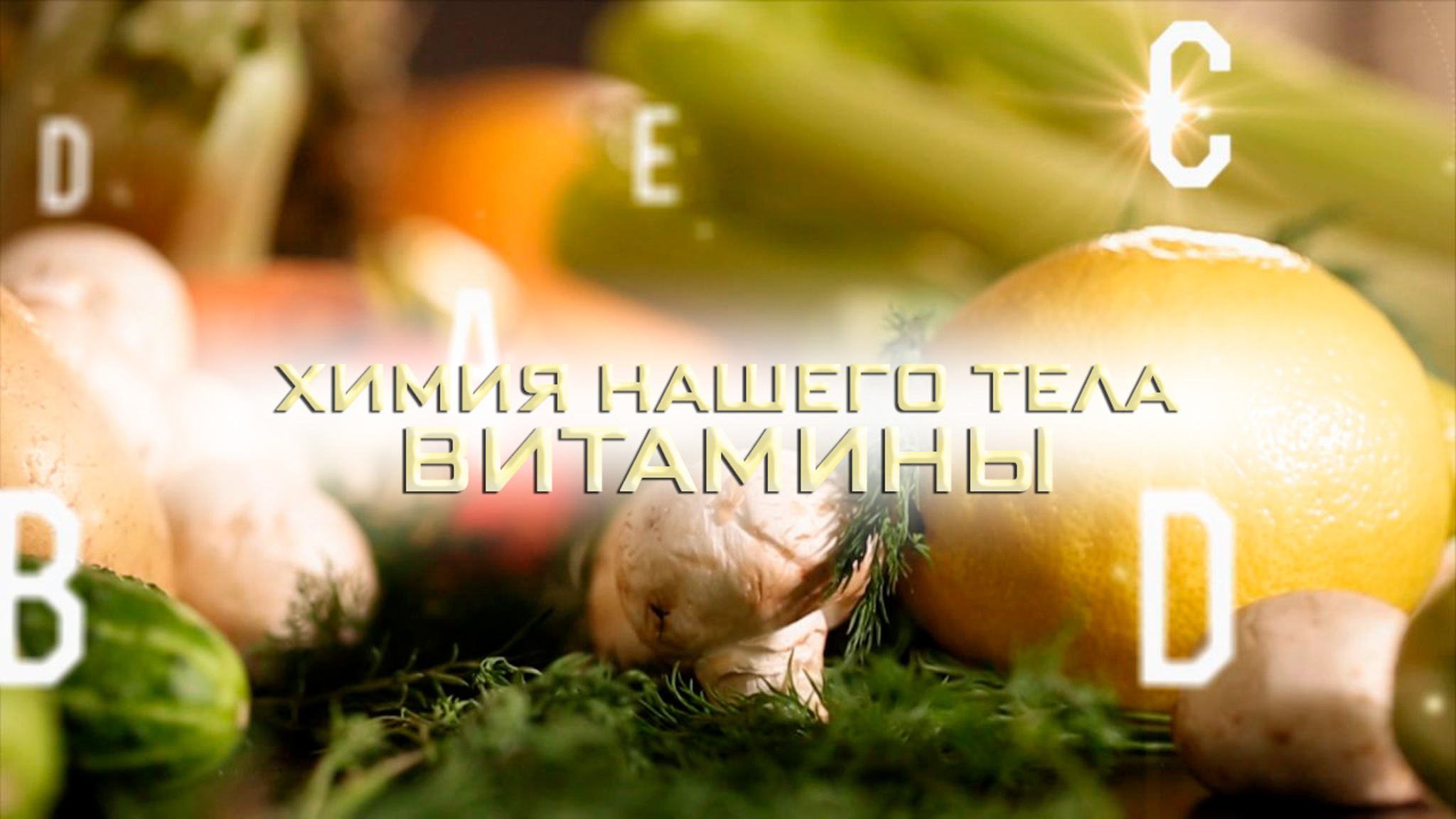 Химия нашего тела. Витамины