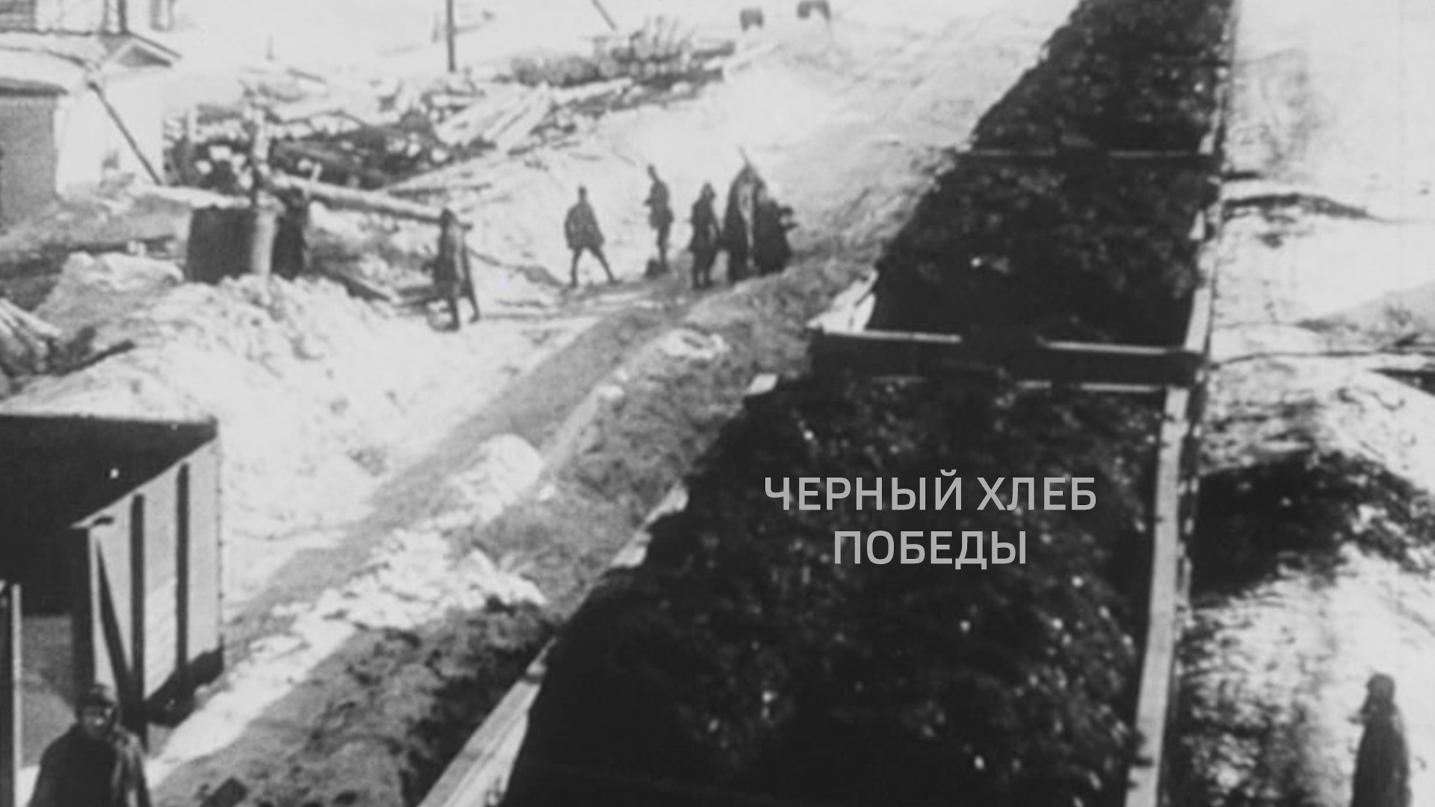 Черный хлеб Победы