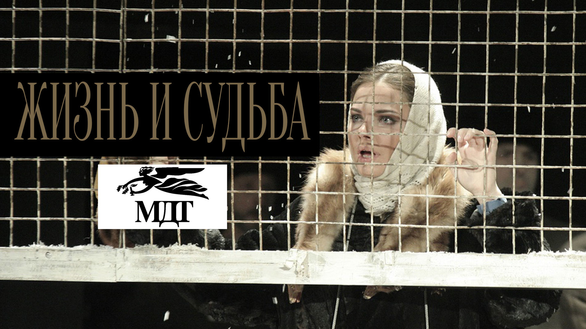 Жизнь и судьба (спектакль)