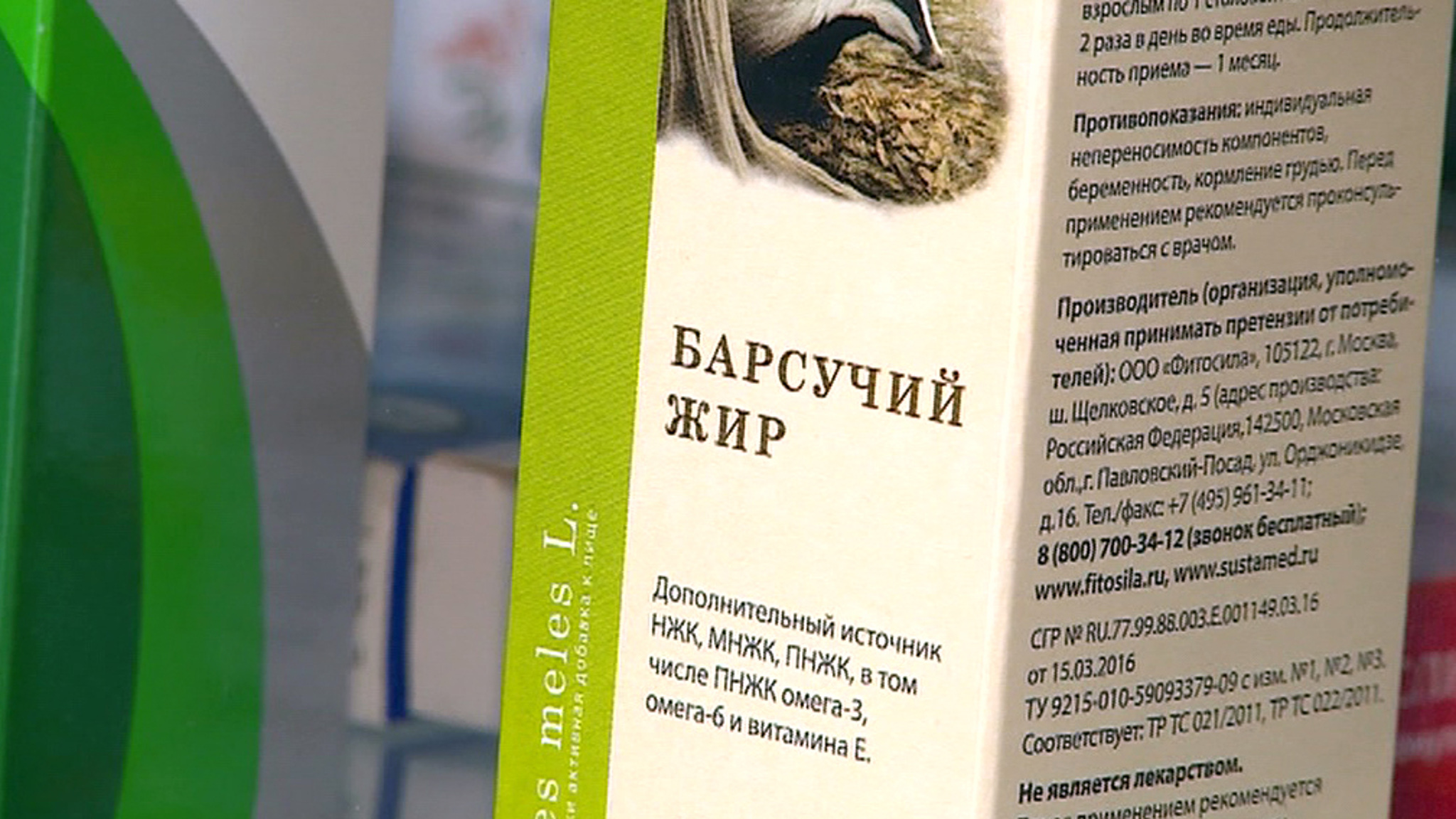 Барсучий жир как лекарство от COVID: стоит ли рисковать?