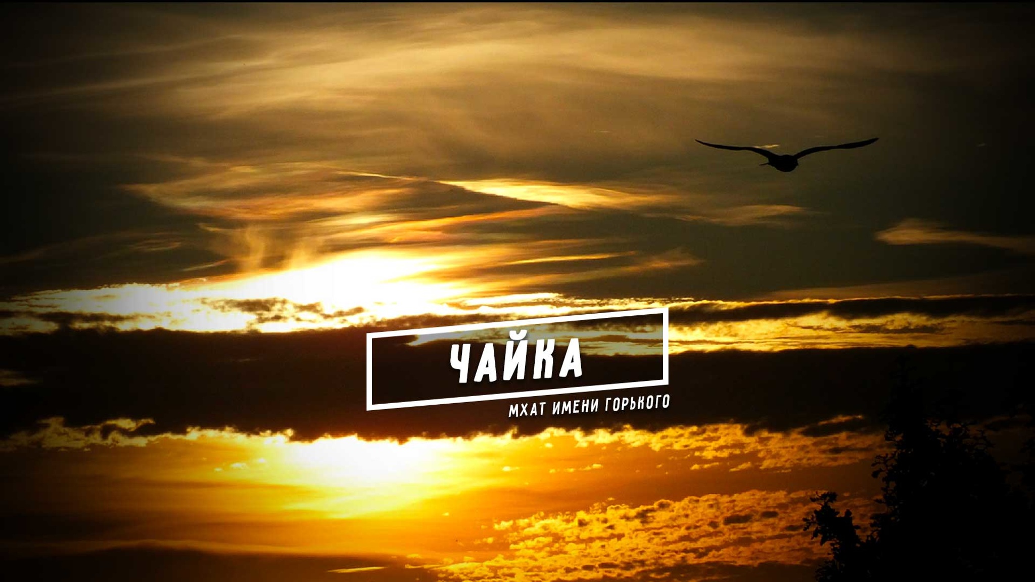 Чайка (МХАТ имени Горького)