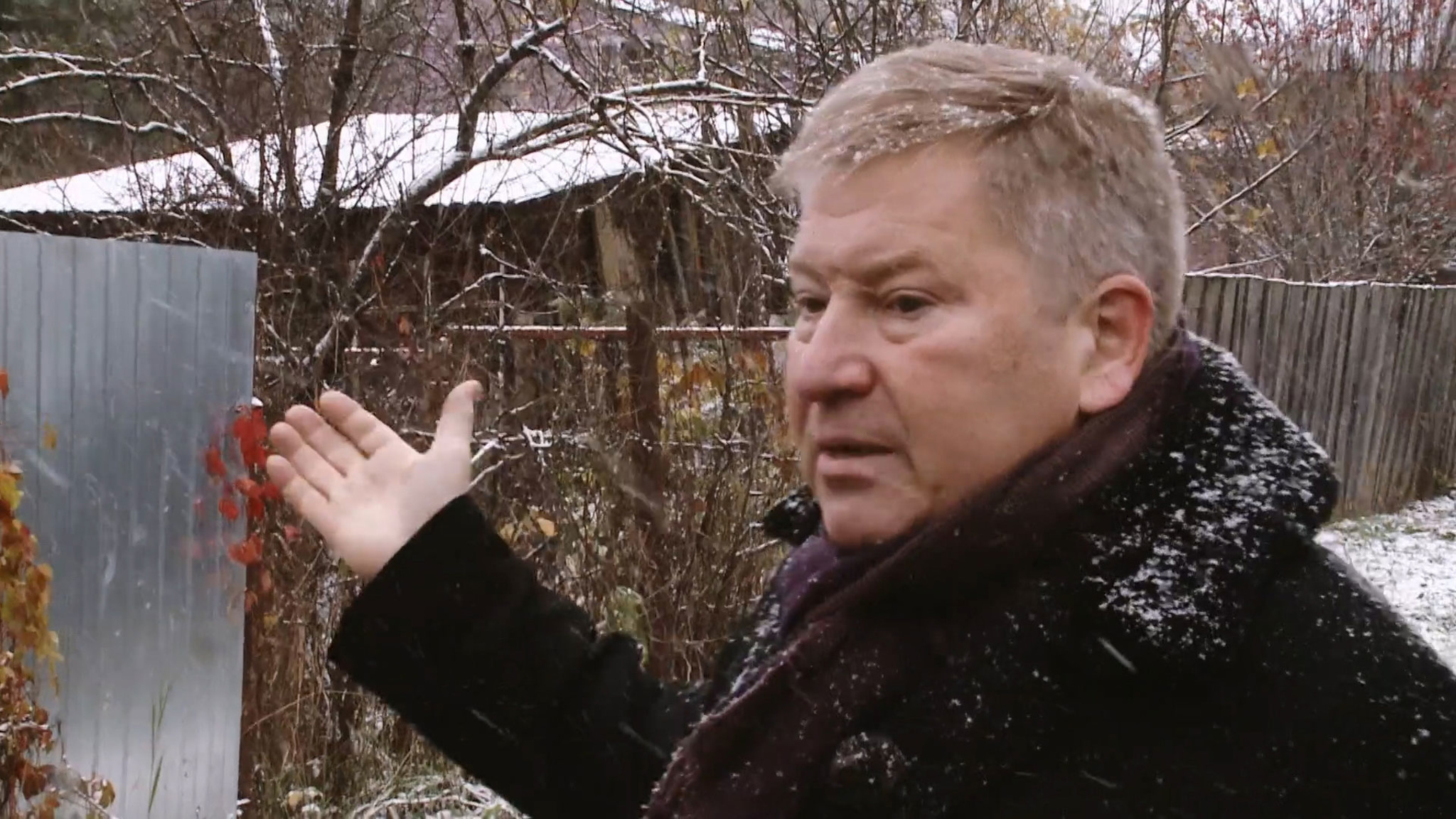 Евгений Весник-мл.: "Я родился благодаря Матроне"