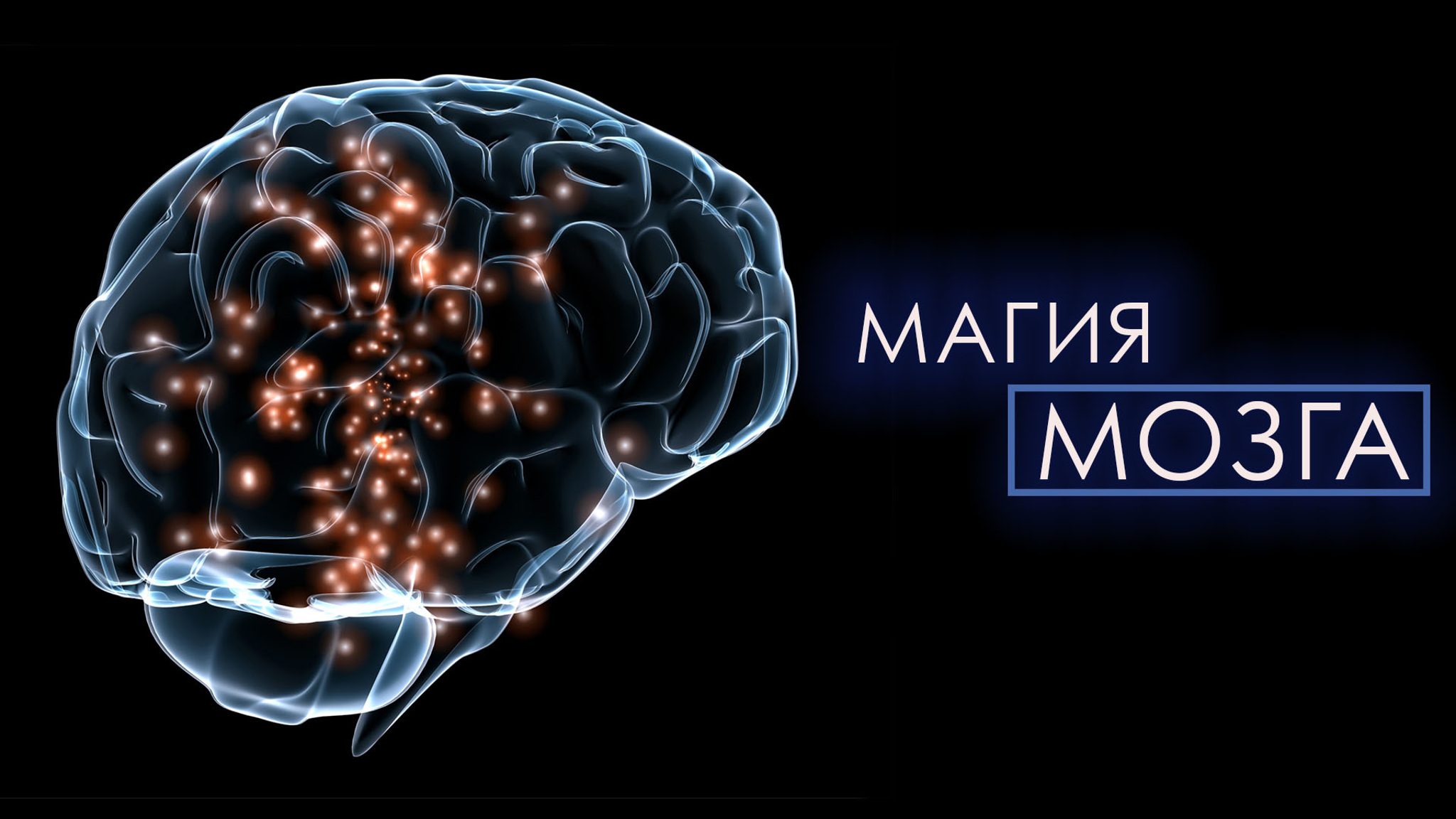 Магия мозга
