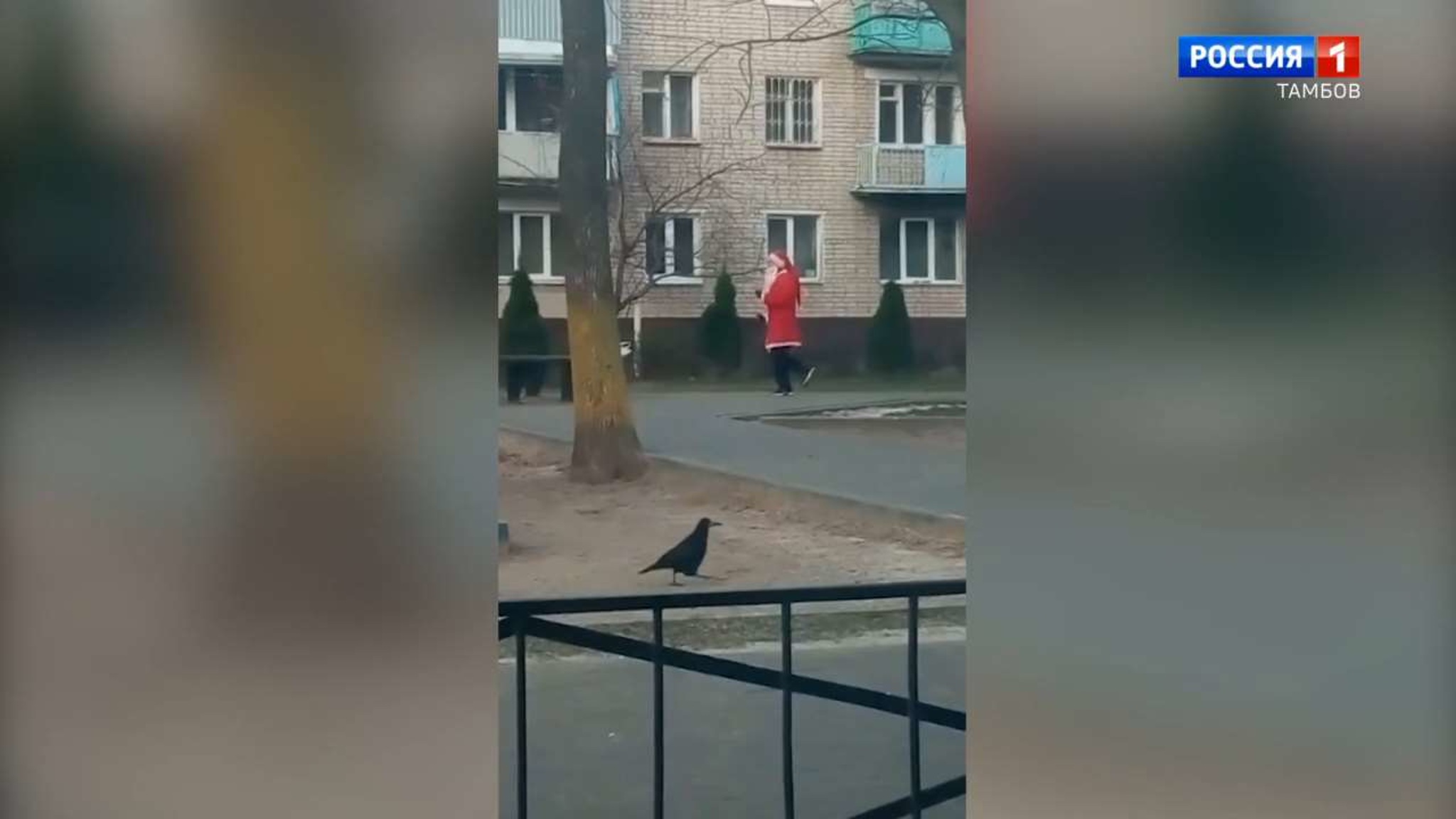 На улицах Тамбова можно увидеть танцующего Санта-Клауса