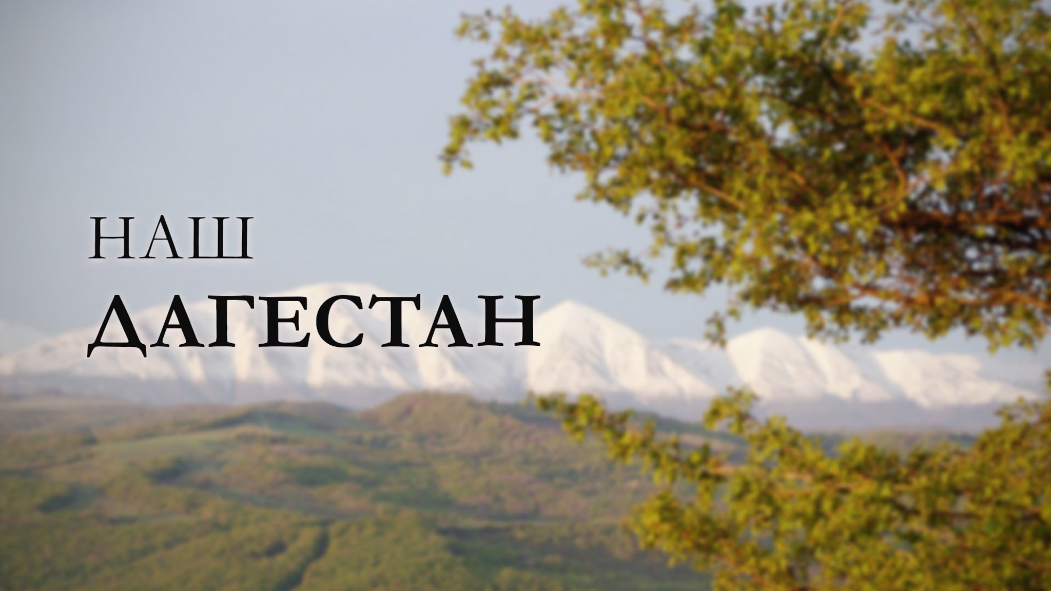 Наш Дагестан