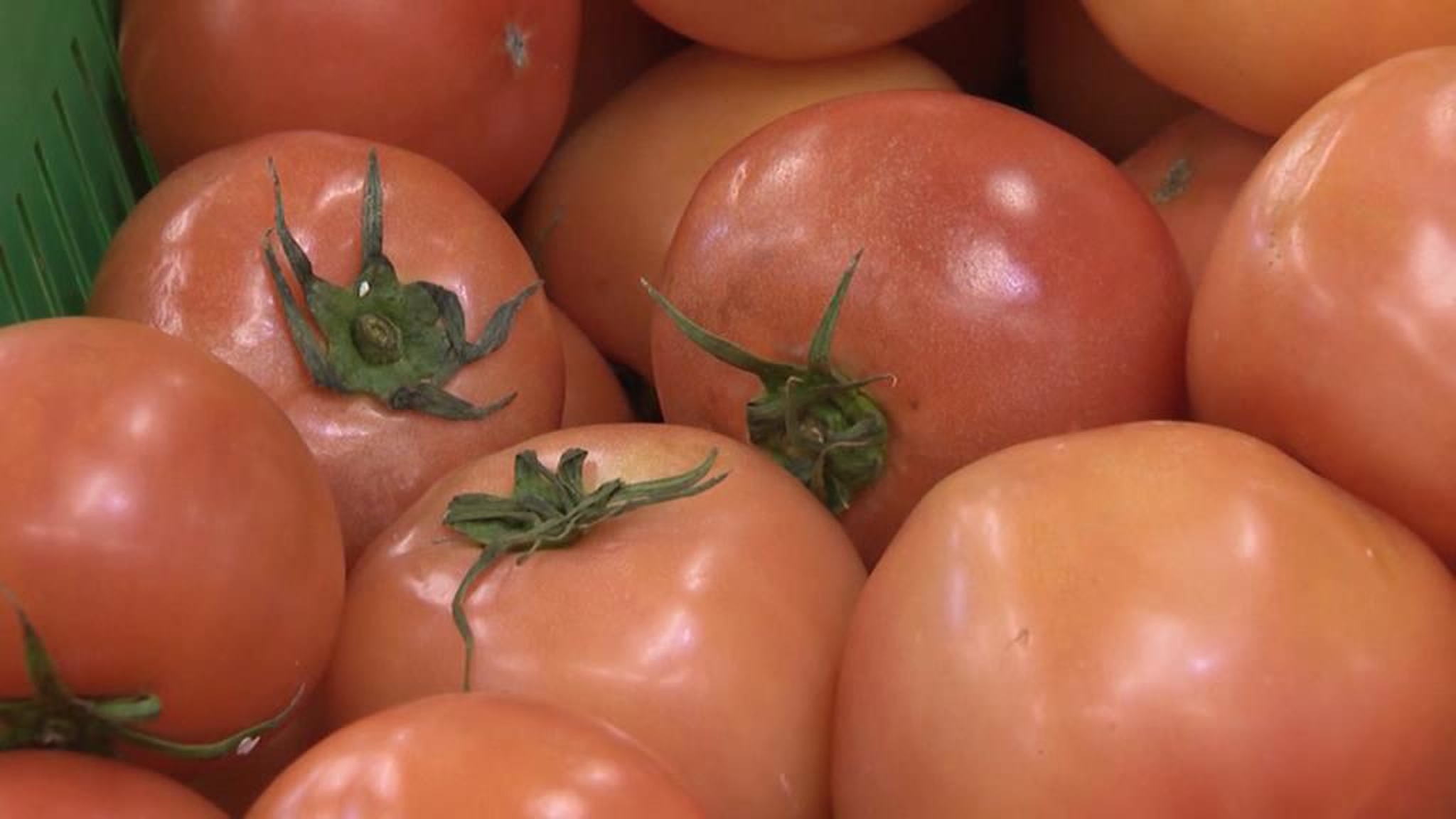 Ввоз томатов под запретом: эксперты оценили, хватит ли своей продукции