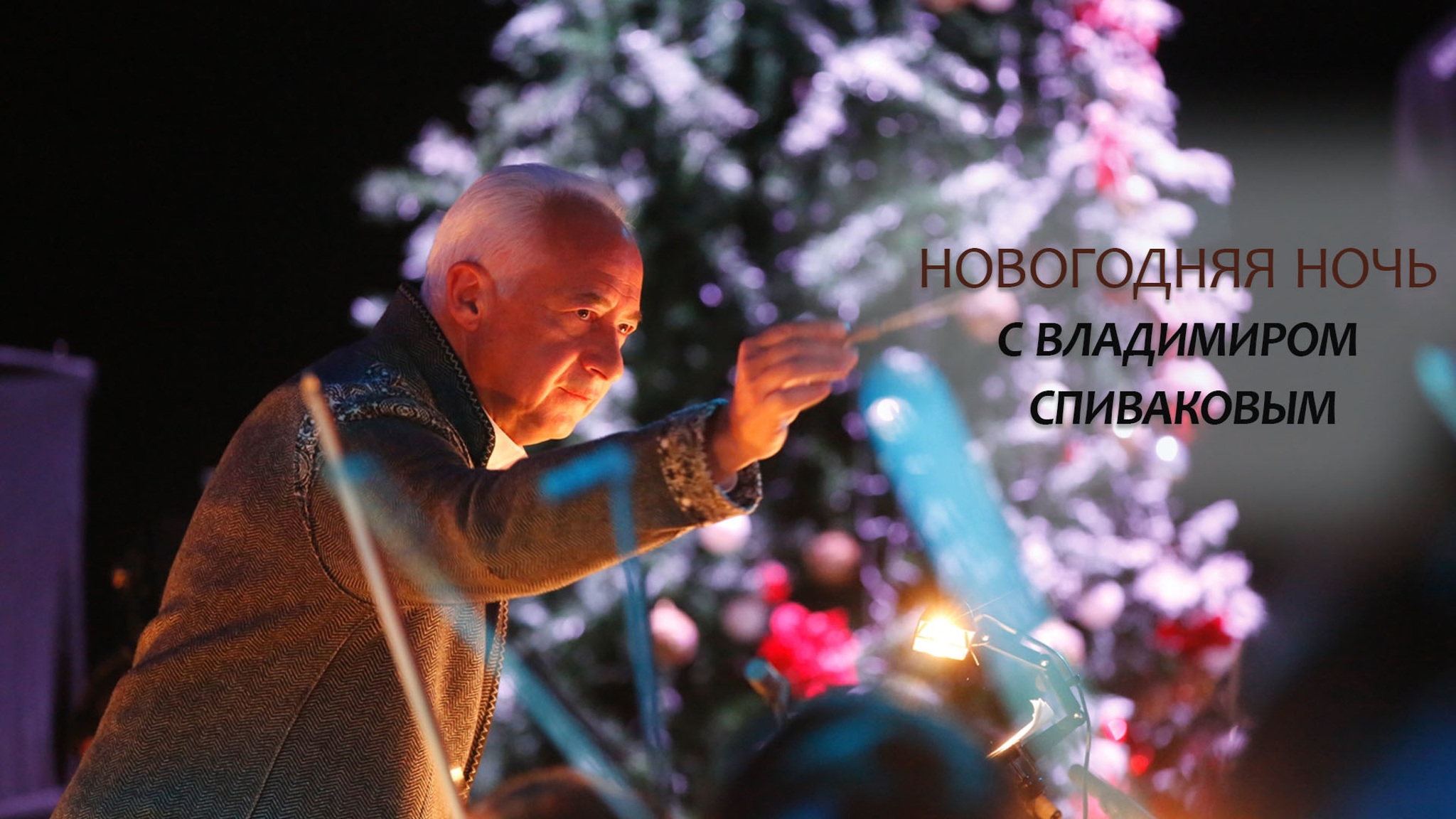 Новогодняя ночь с Владимиром Спиваковым