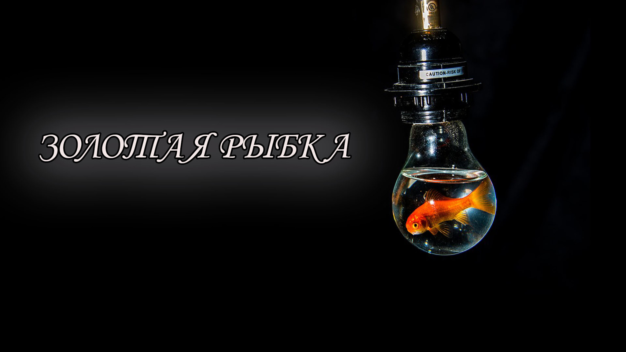 Золотая рыбка