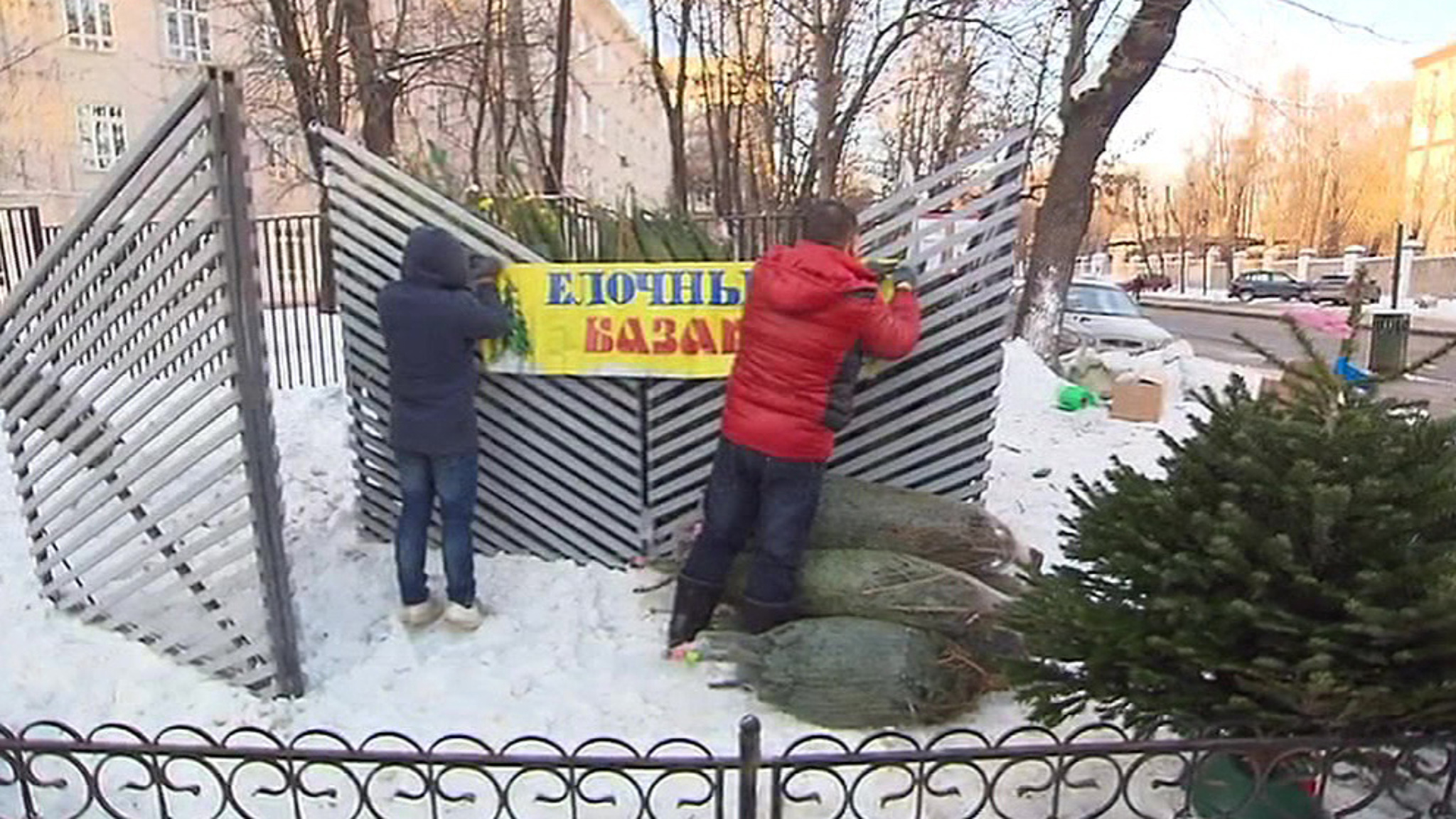 В Москве начинают работу елочные базары