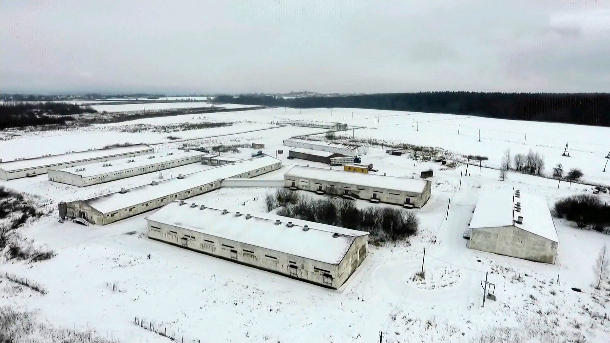 Деятельность свинокомплекса в Клину признана незаконной