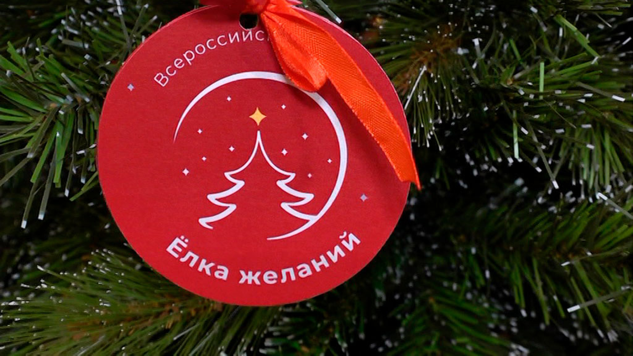 Вице-премьеры правительства РФ приняли участие в акции "Елка желаний"