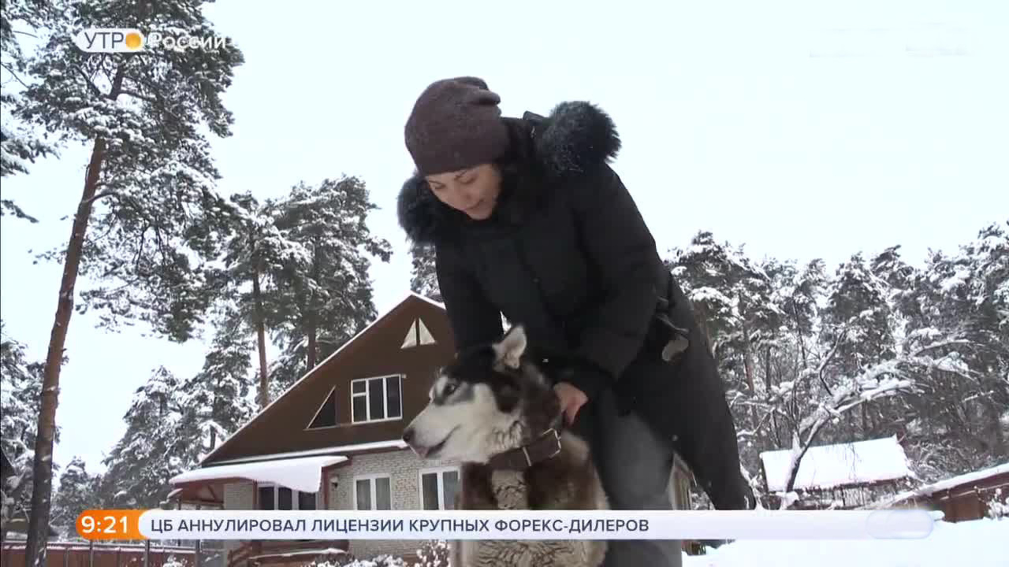 Треть россиян в новогоднюю ночь загадает скорейшее завершение пандемии коронавируса