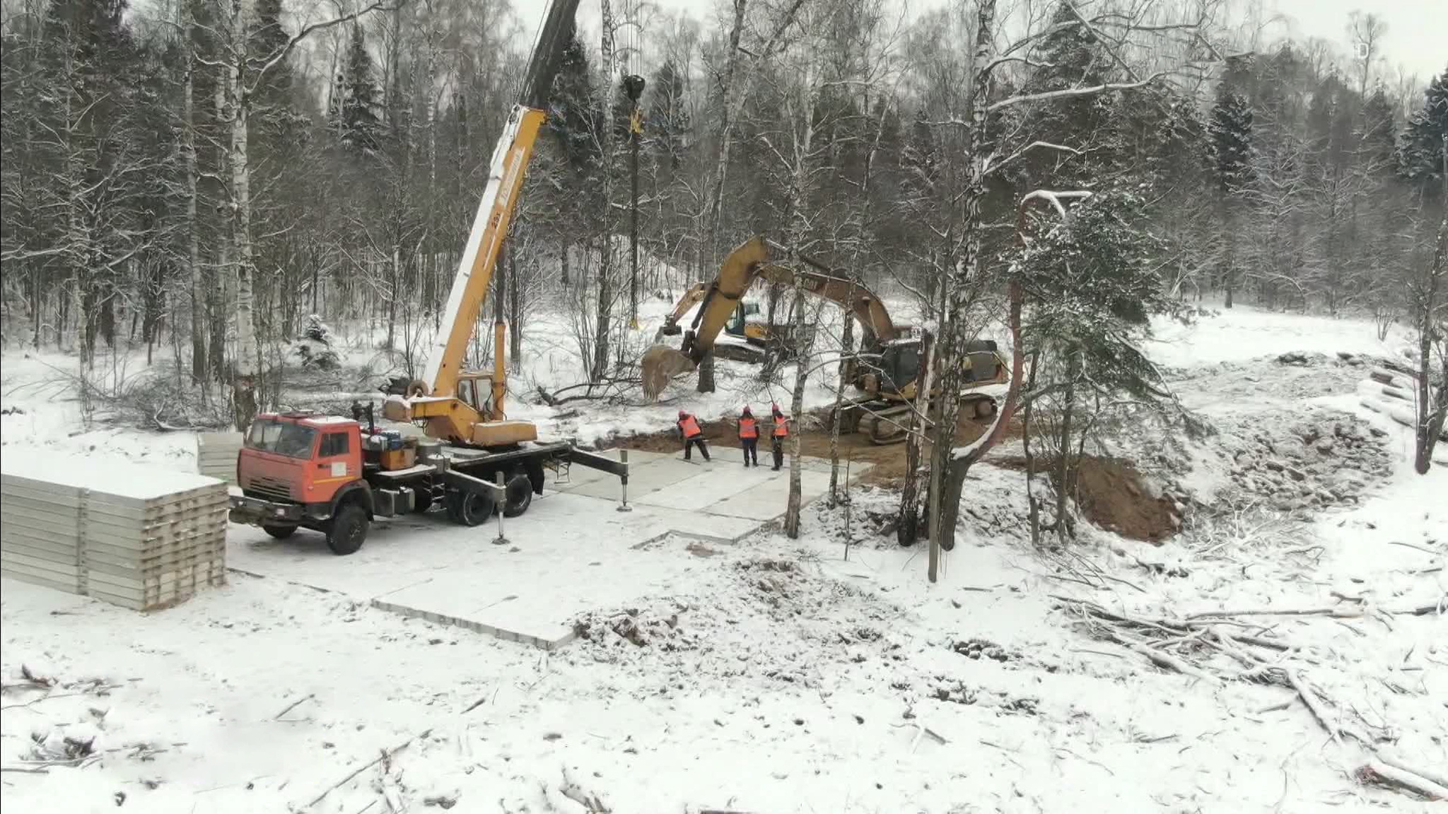 Масштабная вырубка леса идет возле деревни Вёшки в Подмосковье