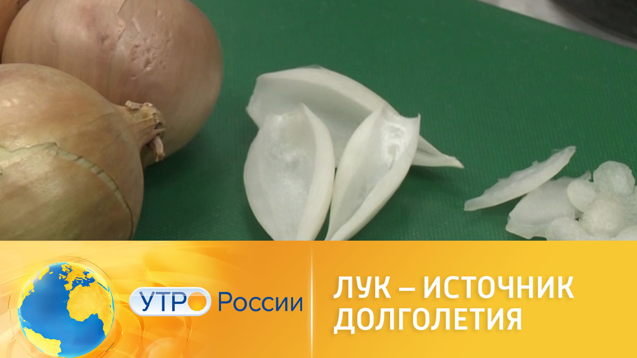 Лук – источник долголетия