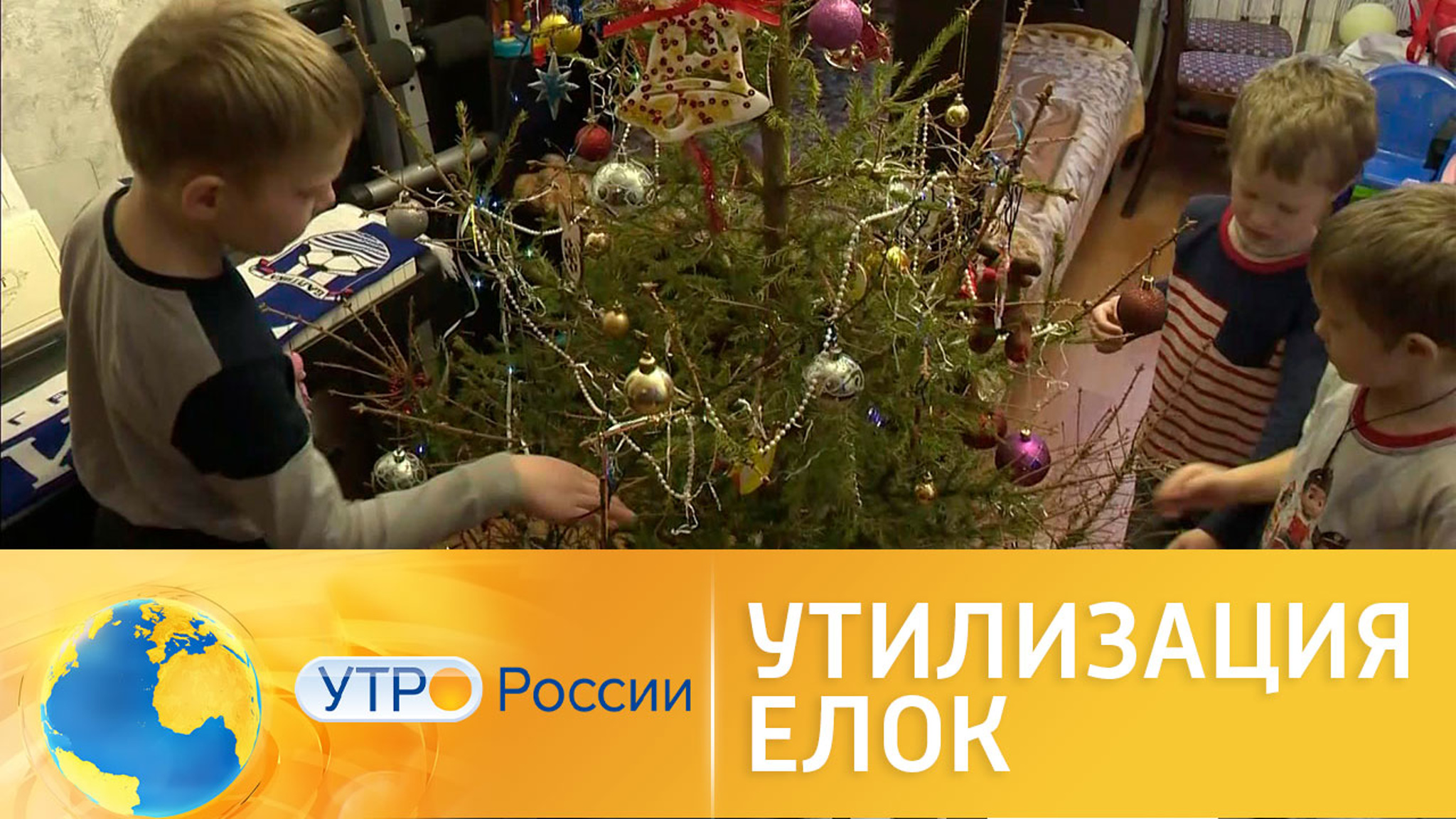 Утилизация елок: достойное применение новогоднего символа