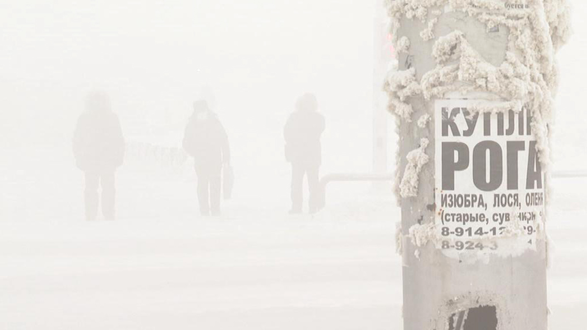 Минус 50: якутских школьников из-за морозов отправили на удаленку