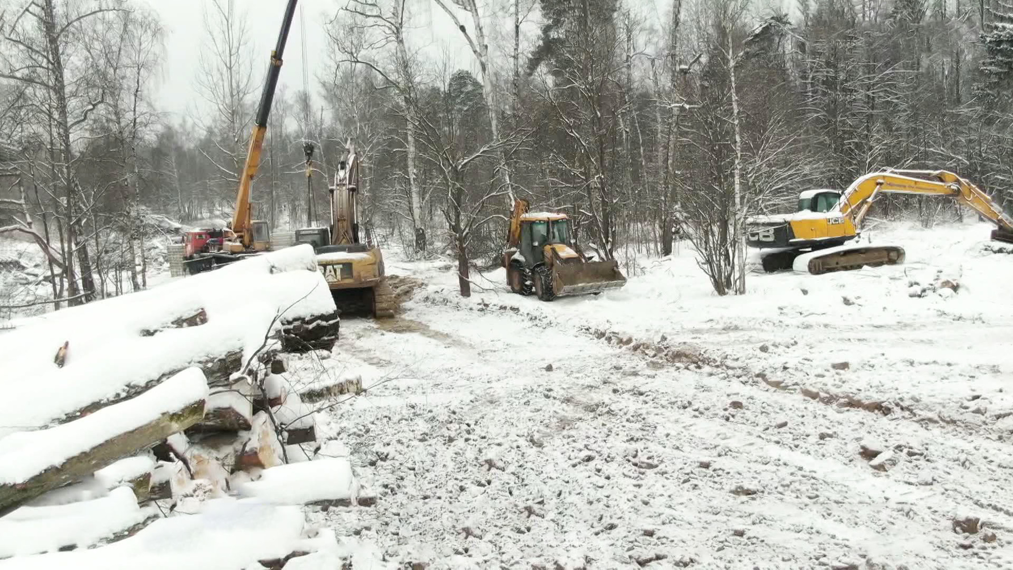Возмутившая жителей Подмосковья вырубка леса оказалась благоустройством