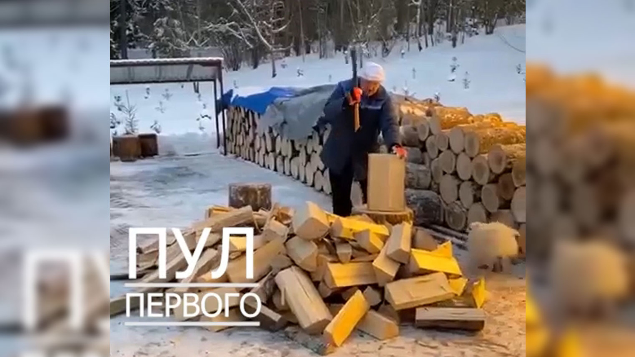 Нарубил дров и угостил шпица: Лукашенко отметил Крещение